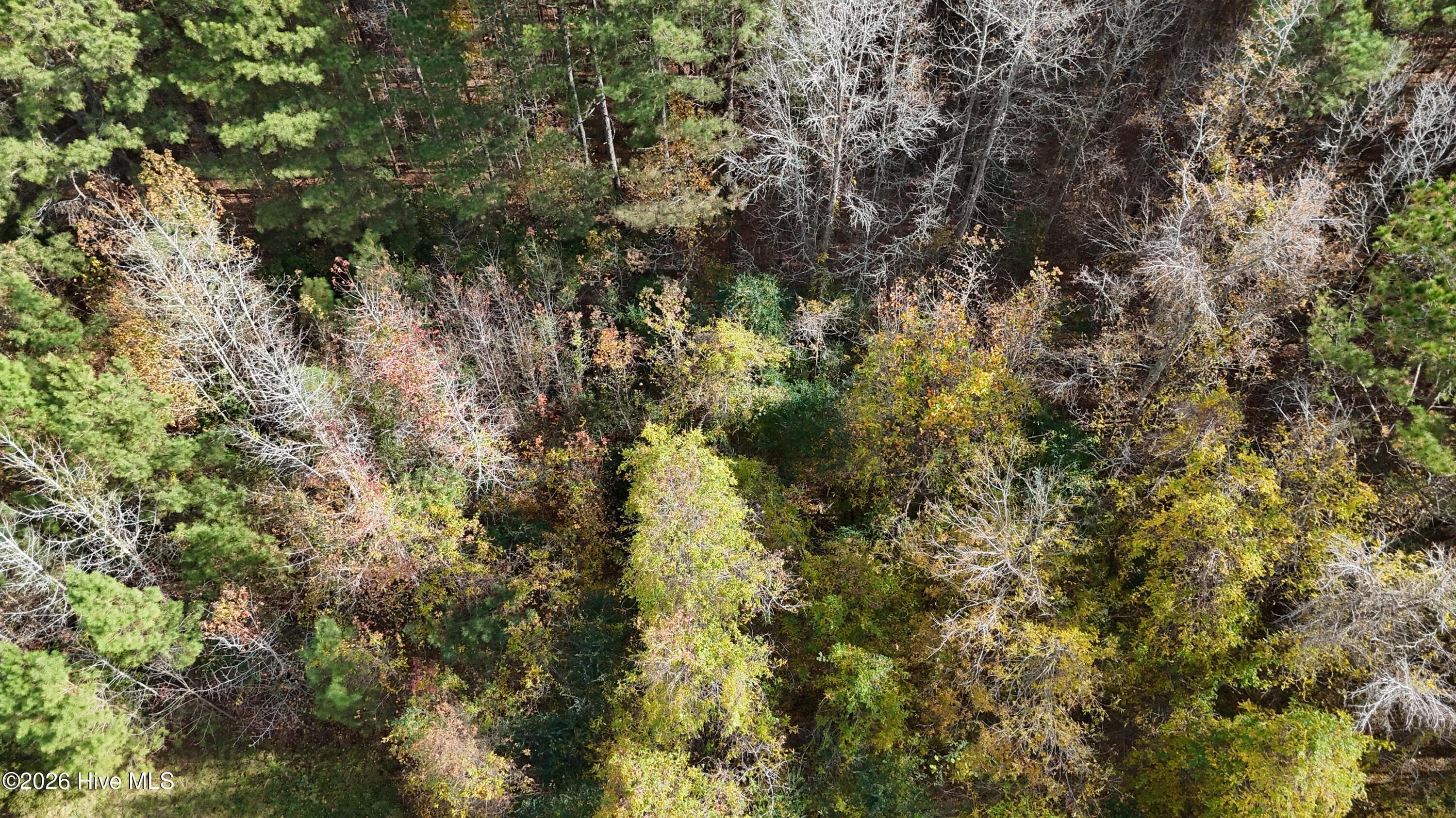 0000 Sr 1100, Blounts Creek, NC 27814