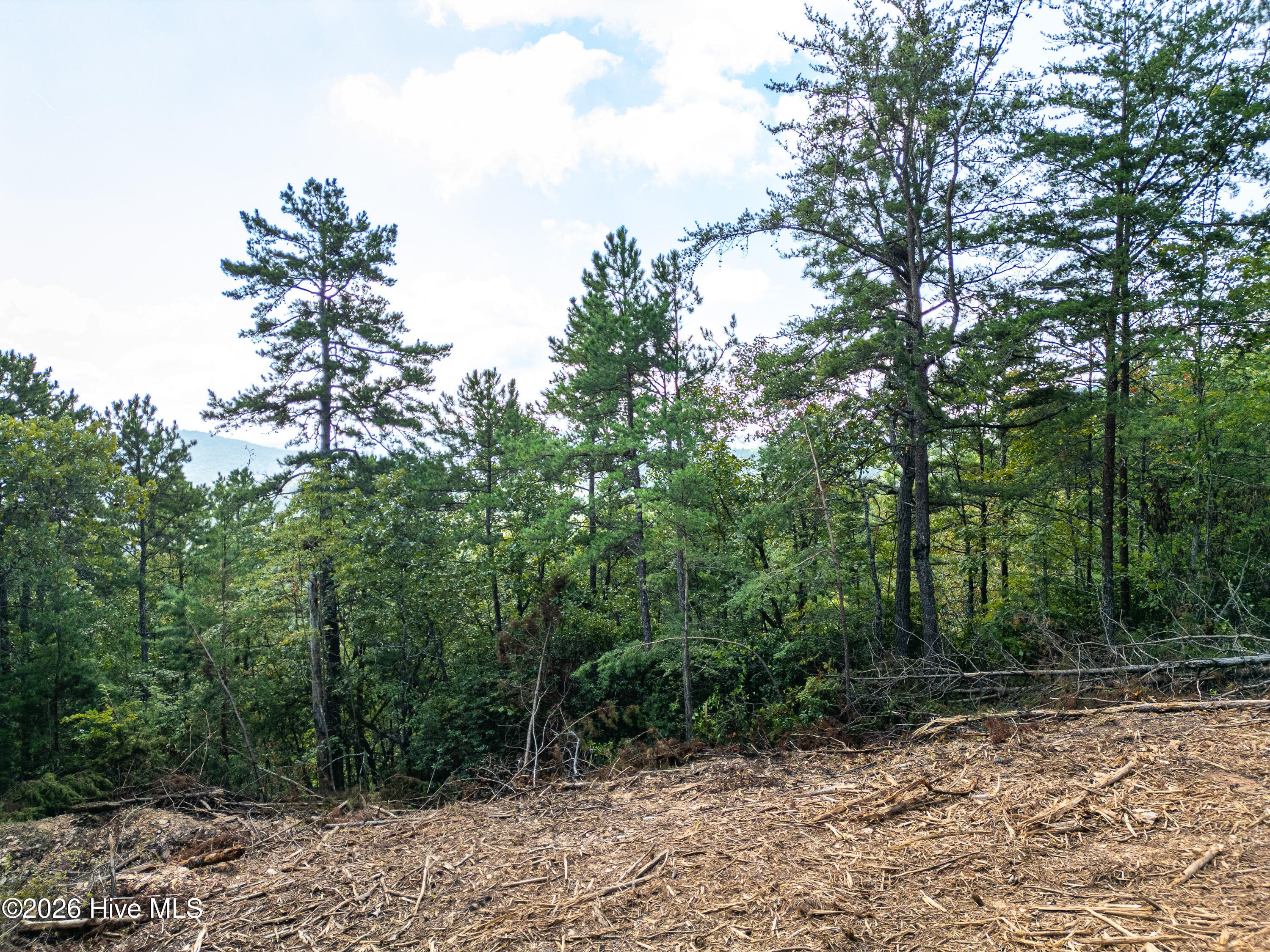 Residential Lot at Lot 156 Crossover Lane, Murphy, NC 28906, photo 11 of 24