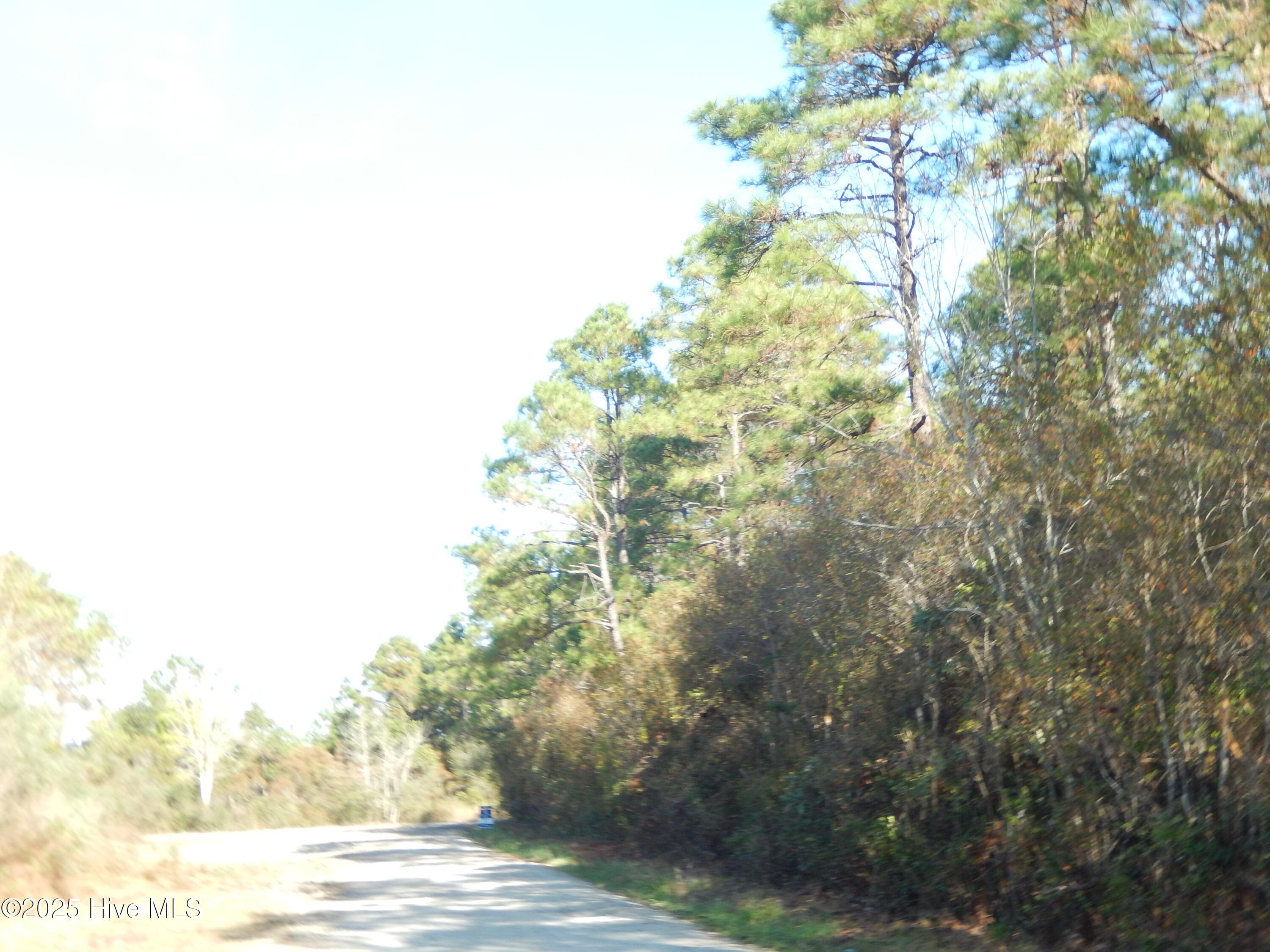 View of land from Yvonne Road - 7600 61 Plantation Road, Wilmington, NC 28411