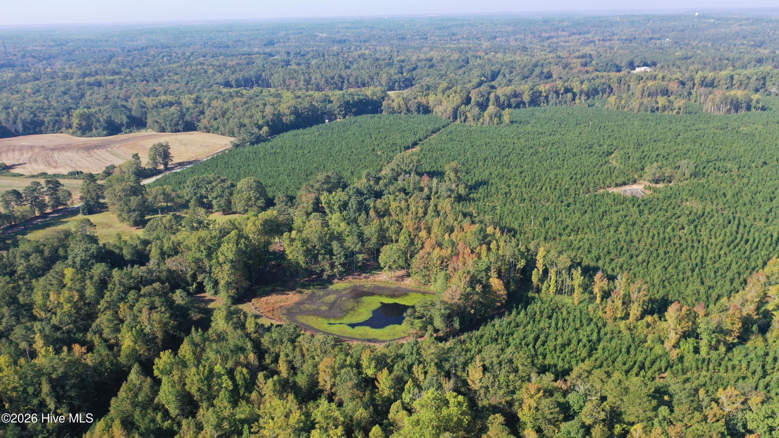 Undeveloped at Tbd Roberdel School Road, Rockingham, NC 28379, photo 41 of 41