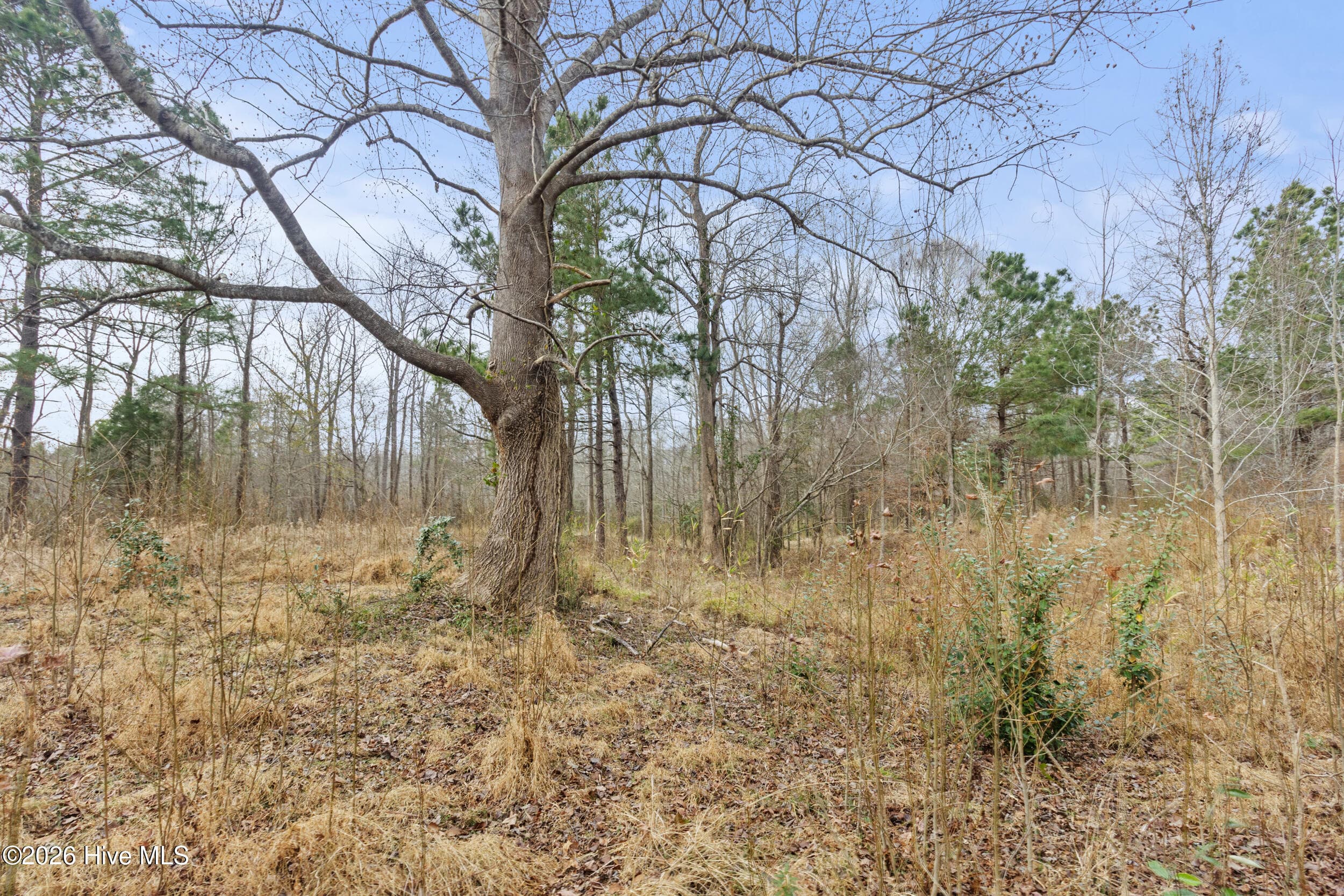 Undeveloped at 2711 Old Airport Road, New Bern, NC 28562, photo 3 of 23