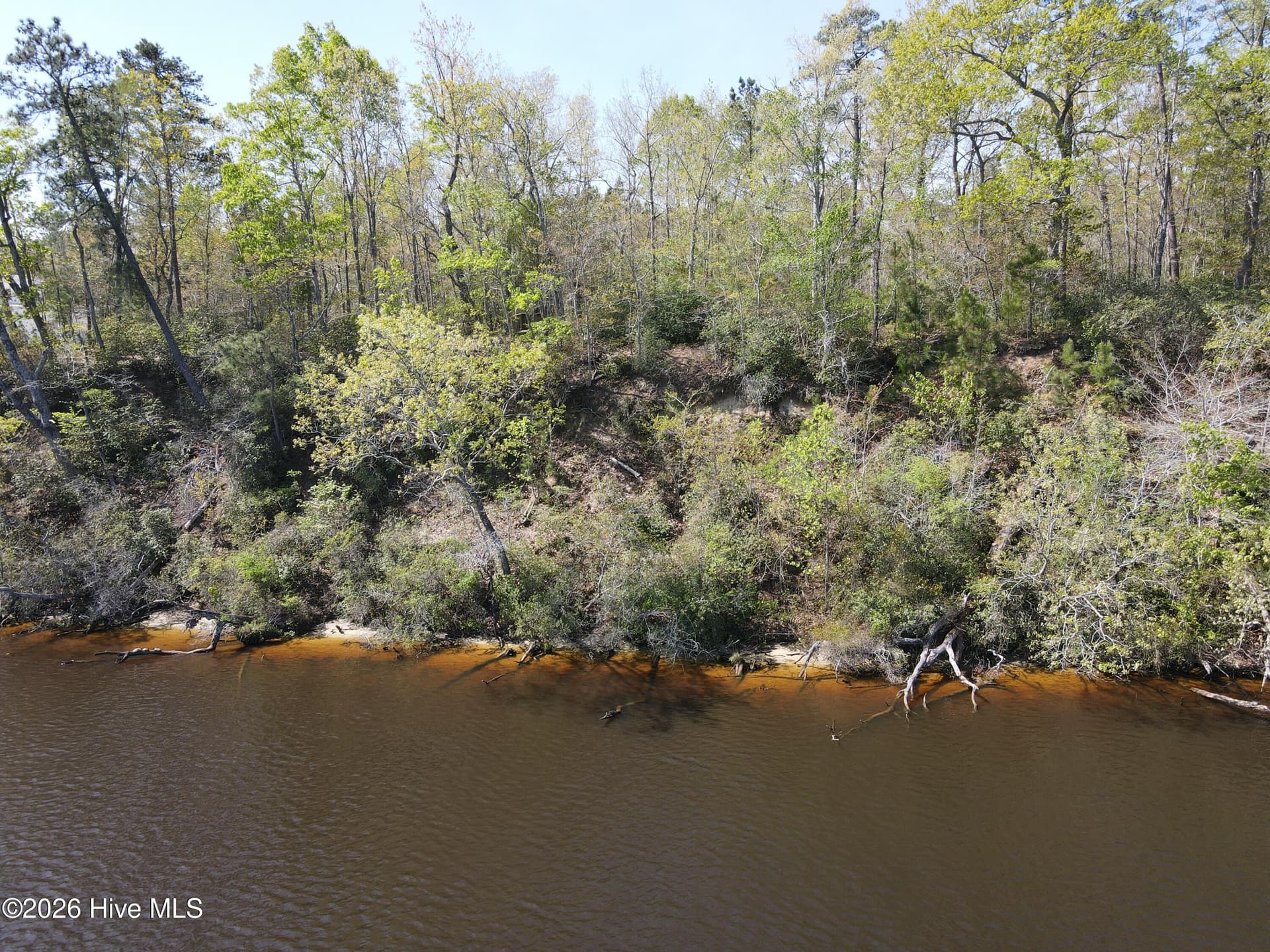 Wooded at Lot 12 River Bluff Drive, Winton, NC 27986, photo 9 of 10