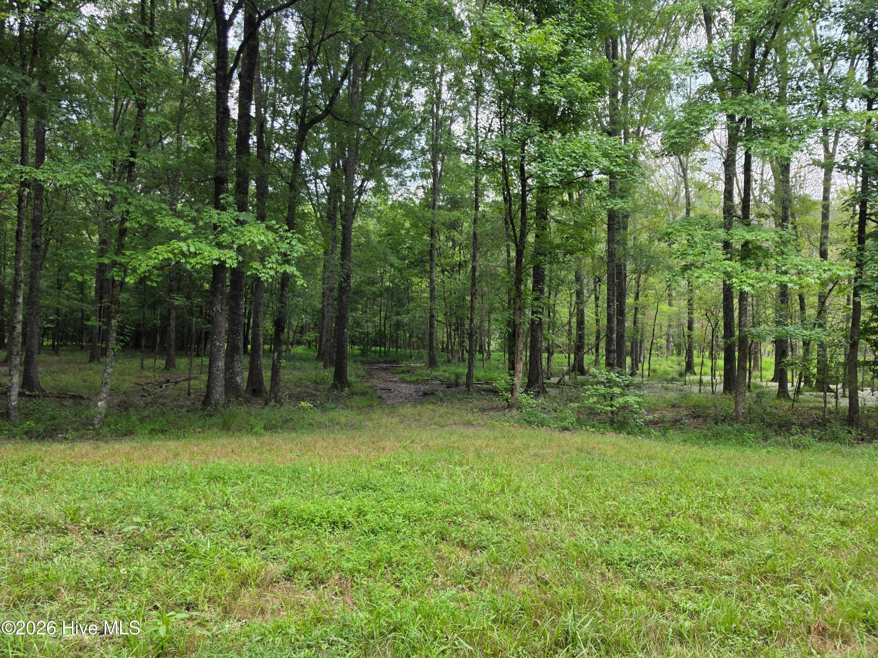Mixed Use at 000 Court Ground Road, Washington, GA 30673, photo 24 of 52