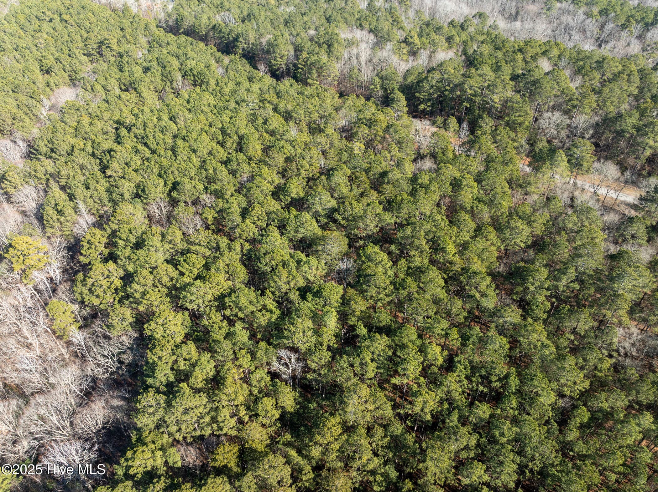 Residential Lot at 141 N State Lane, Rockingham, NC 28379, photo 9 of 17