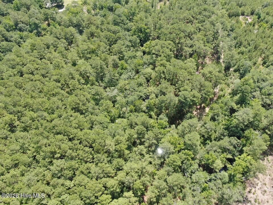 Residential Lot at 532 Old Hoover Bridge Road, Elizabethtown, NC 28337, photo 7 of 9