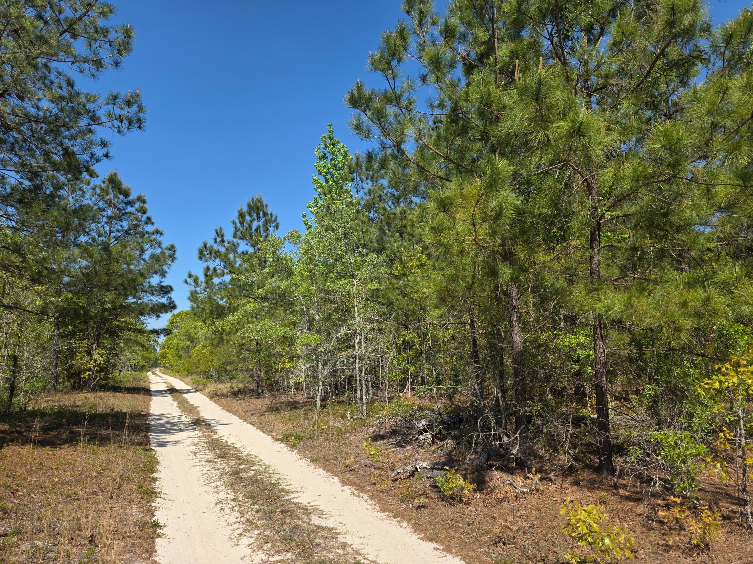 4a Briarwood Drive, Williston, SC 29853