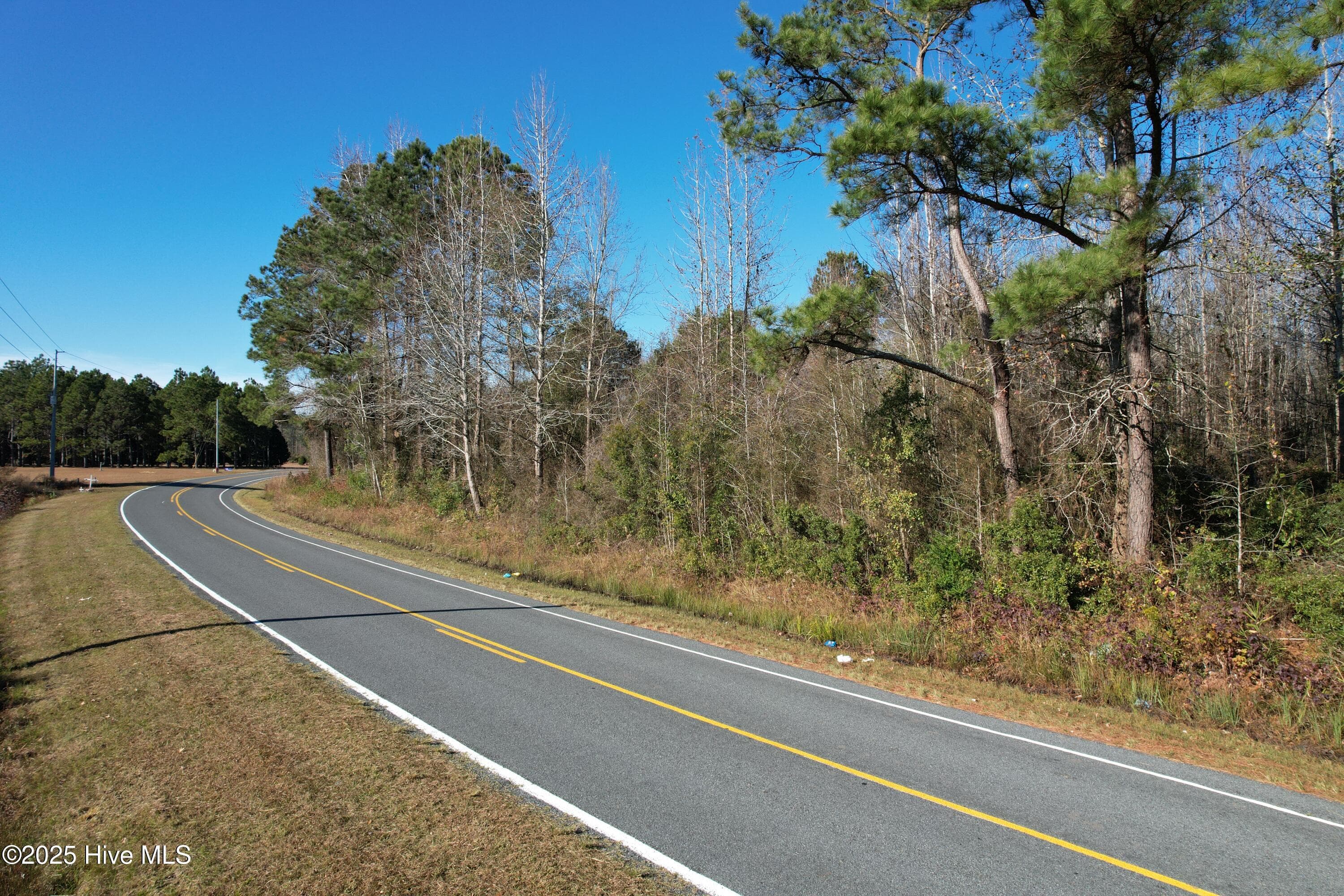 Undeveloped at 4758 Princess Ann Road, Chadbourn, NC 28431, photo 5 of 5