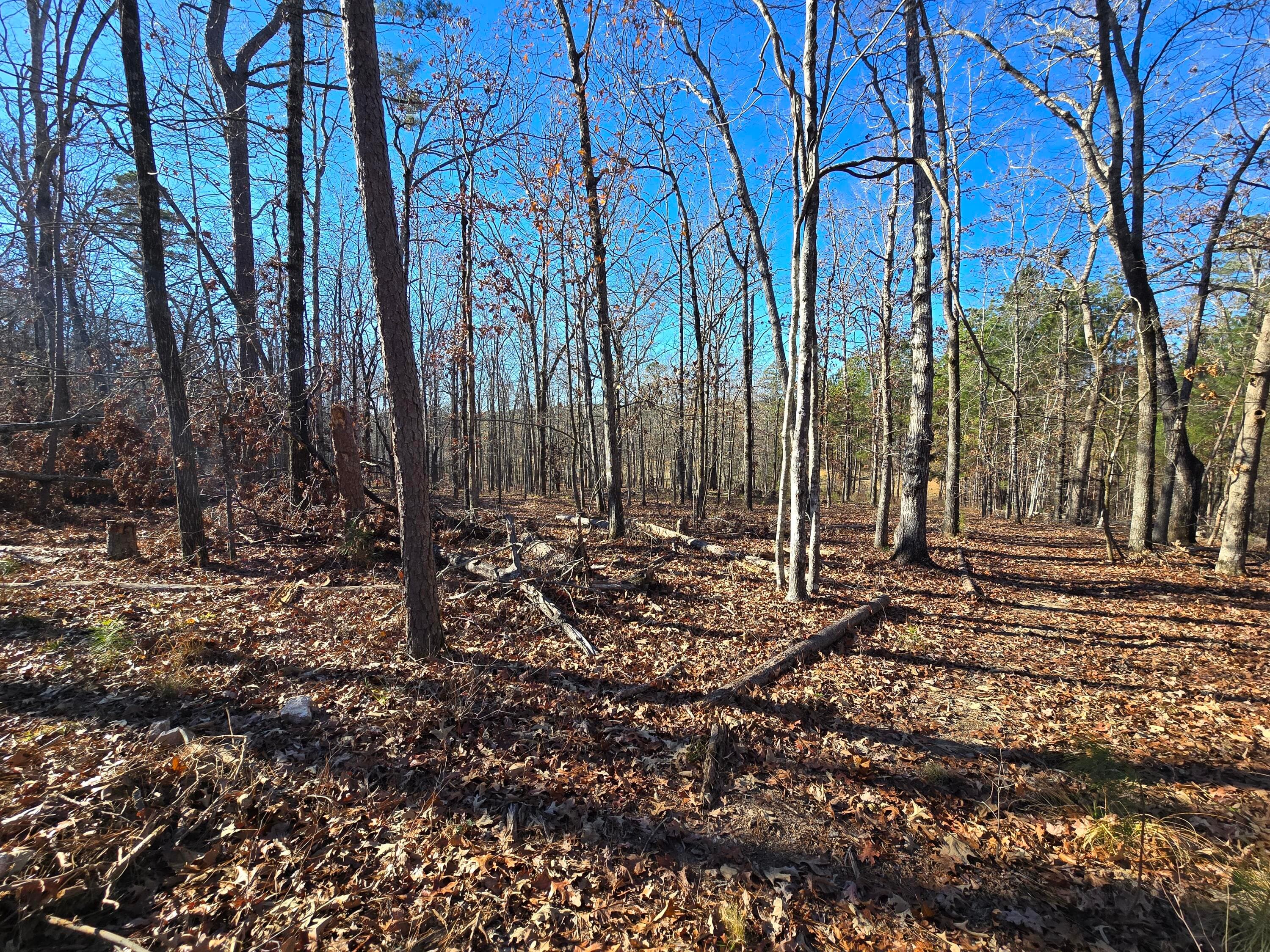 Residential Lot at 1102 Dogwood Drive, Lincolnton, GA 30817, photo 19 of 46