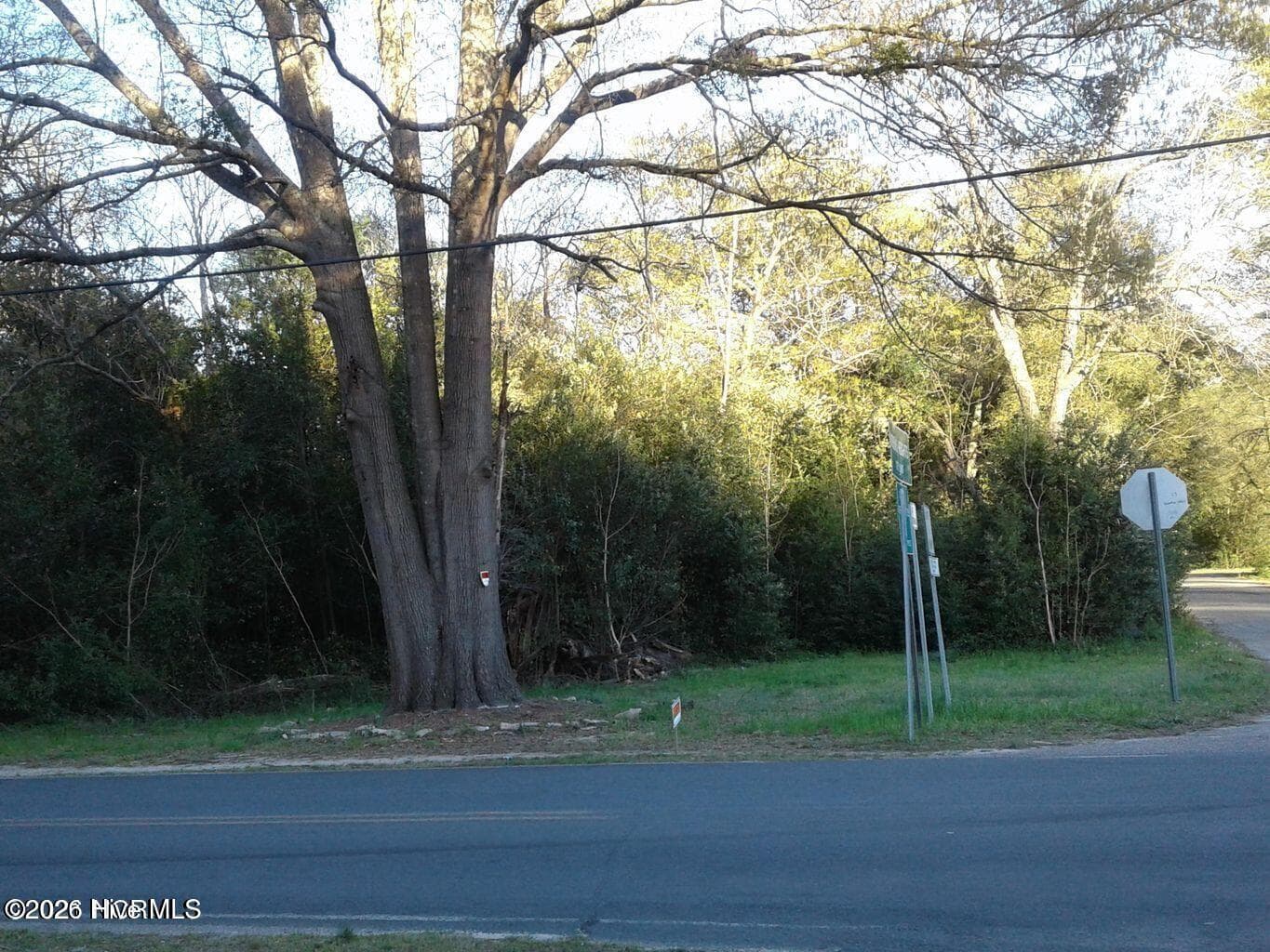 Undeveloped at 122-124 Earl Franklin Drive, Hamlet, NC 28345, photo 3 of 4