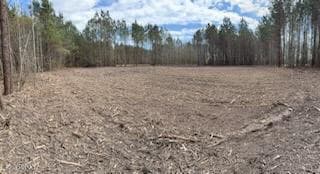 Wooded at #9 9 E Ridge Road, Shawboro, NC 27973, photo 3 of 6