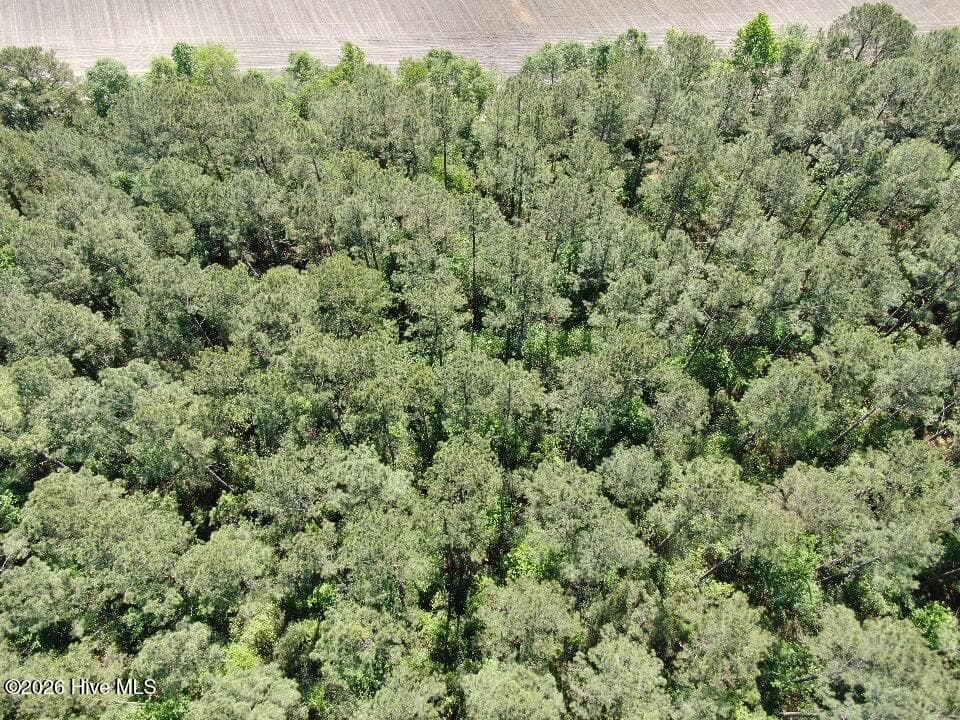 Wooded at 20.51 Acre Sweat Drive, Bladenboro, NC 28320, photo 13 of 16