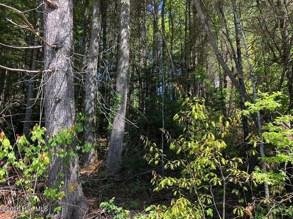 Residential Lot at Lot 7 7 Santeetlah Ridge, Robbinsville, NC 28771, photo 9 of 10