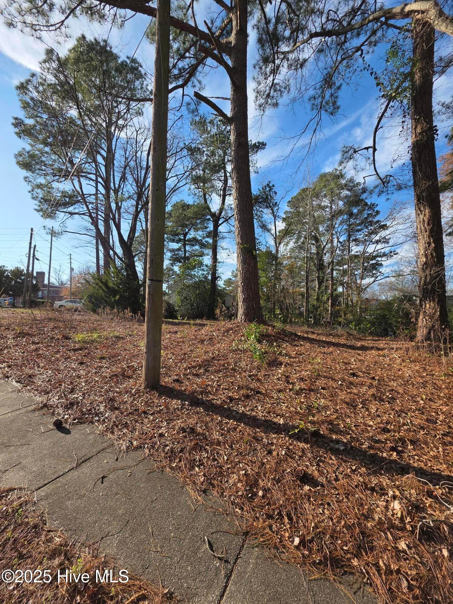 Residential Lot at 404 Summit Avenue, Kinston, NC 28501, photo 4 of 7