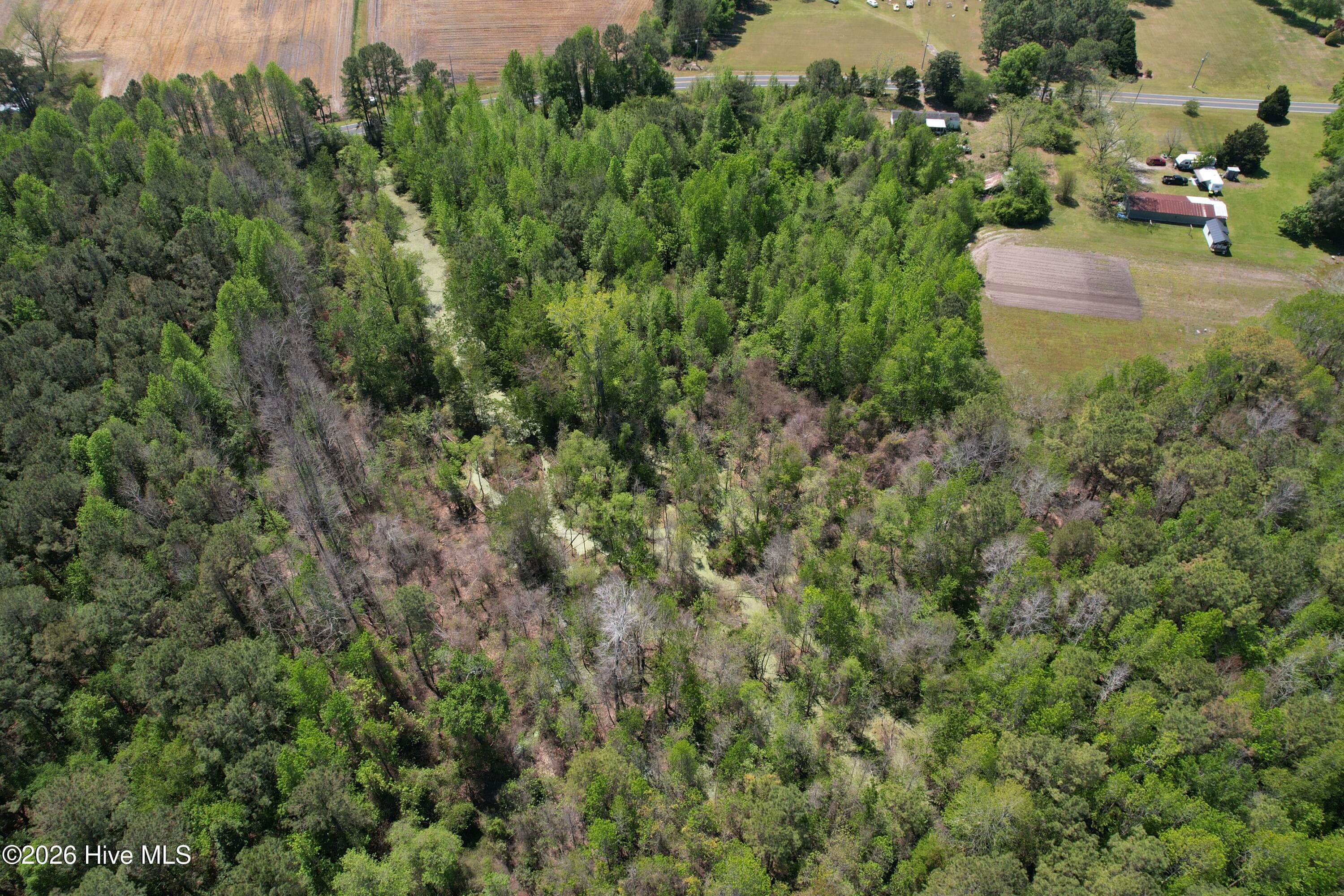 Undeveloped at 4758 Princess Ann Road, Chadbourn, NC 28431, photo 2 of 5
