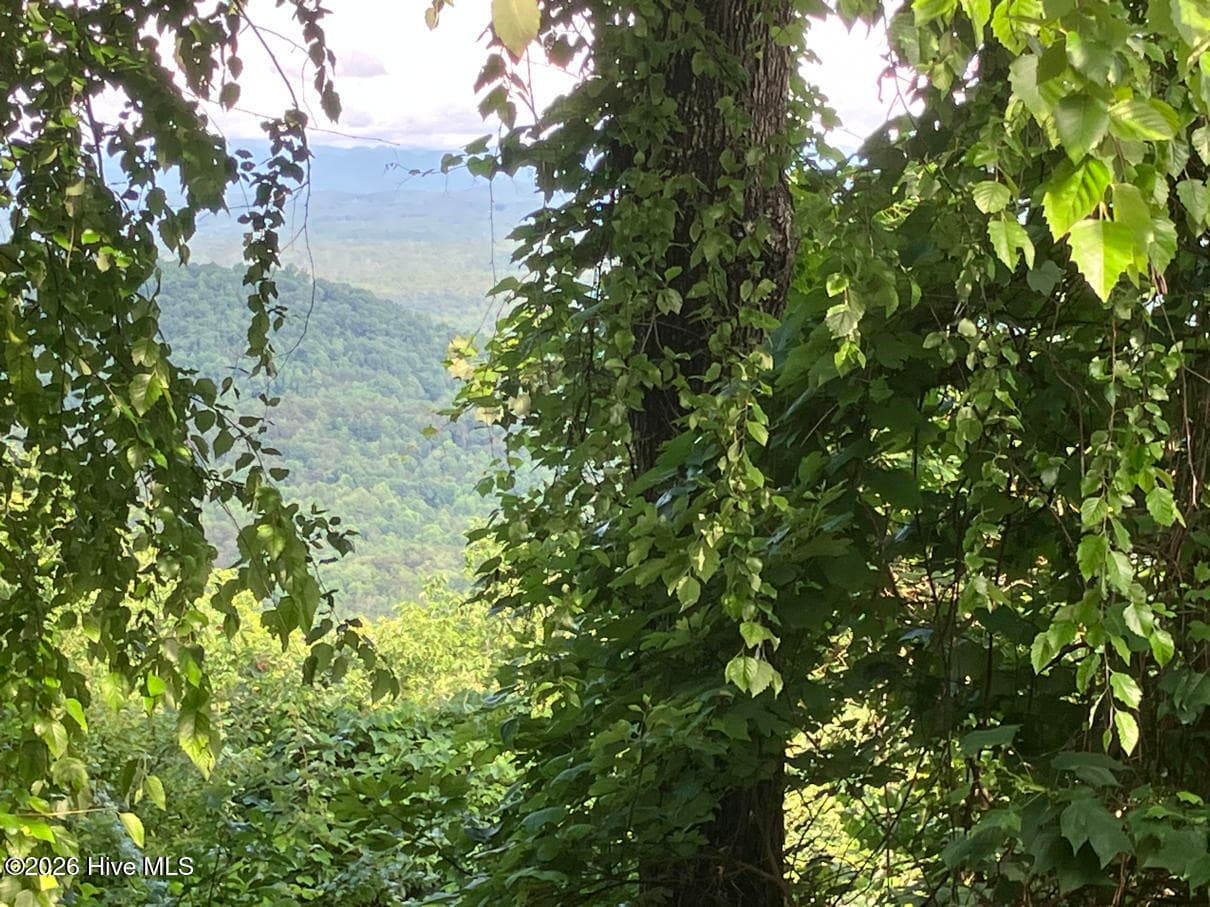 Residential Lot at Lot 51 51 Buck Ridge Drive, Murphy, NC 28906, photo 2 of 10