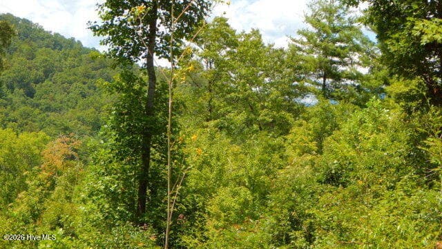 Residential Lot at 16 16 Tyler Ridge, Murphy, NC 28906, photo 4 of 6