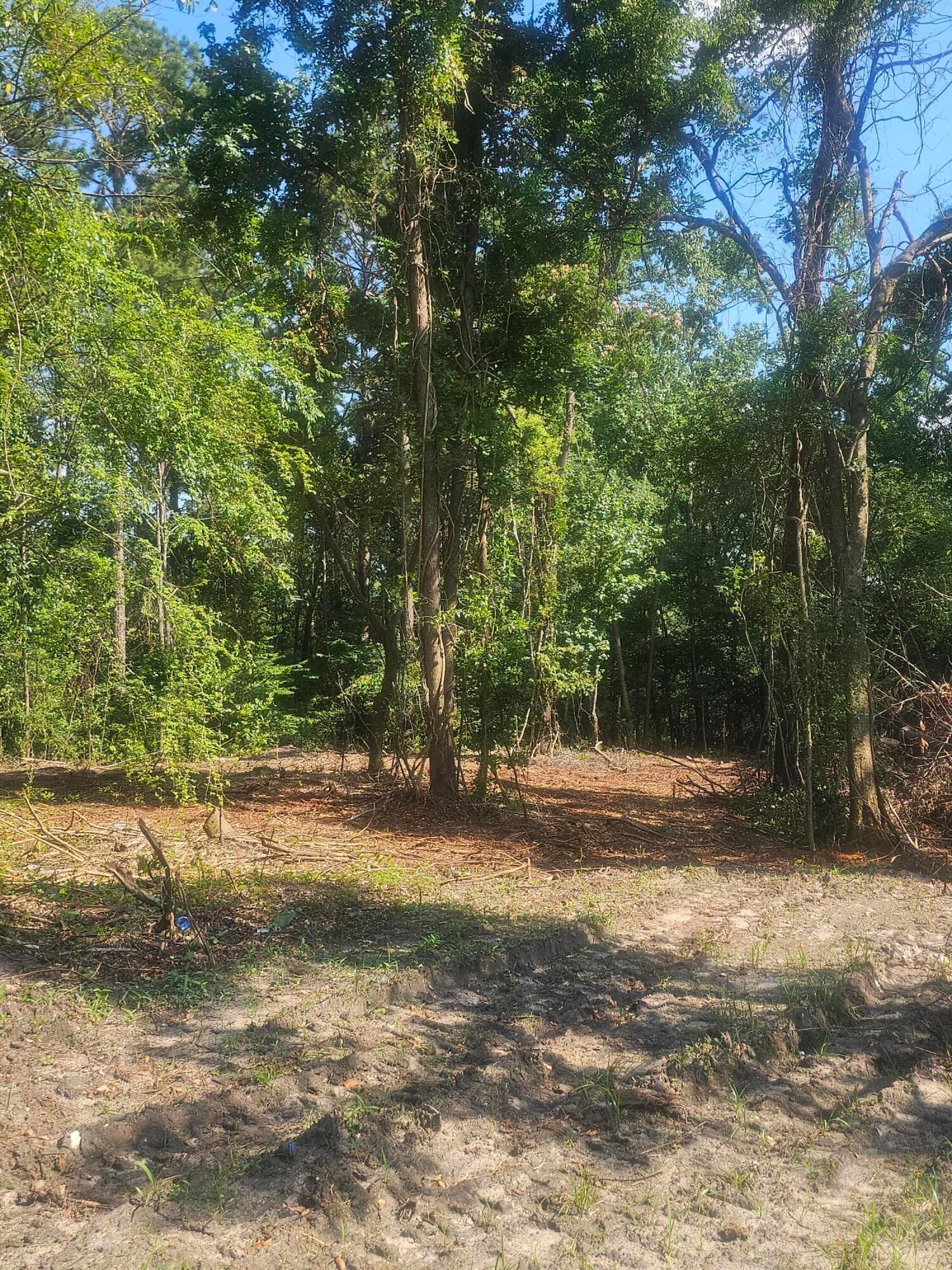 Residential Lot at 470 Forrest Drive, Louisville, GA 30434, photo 3 of 6