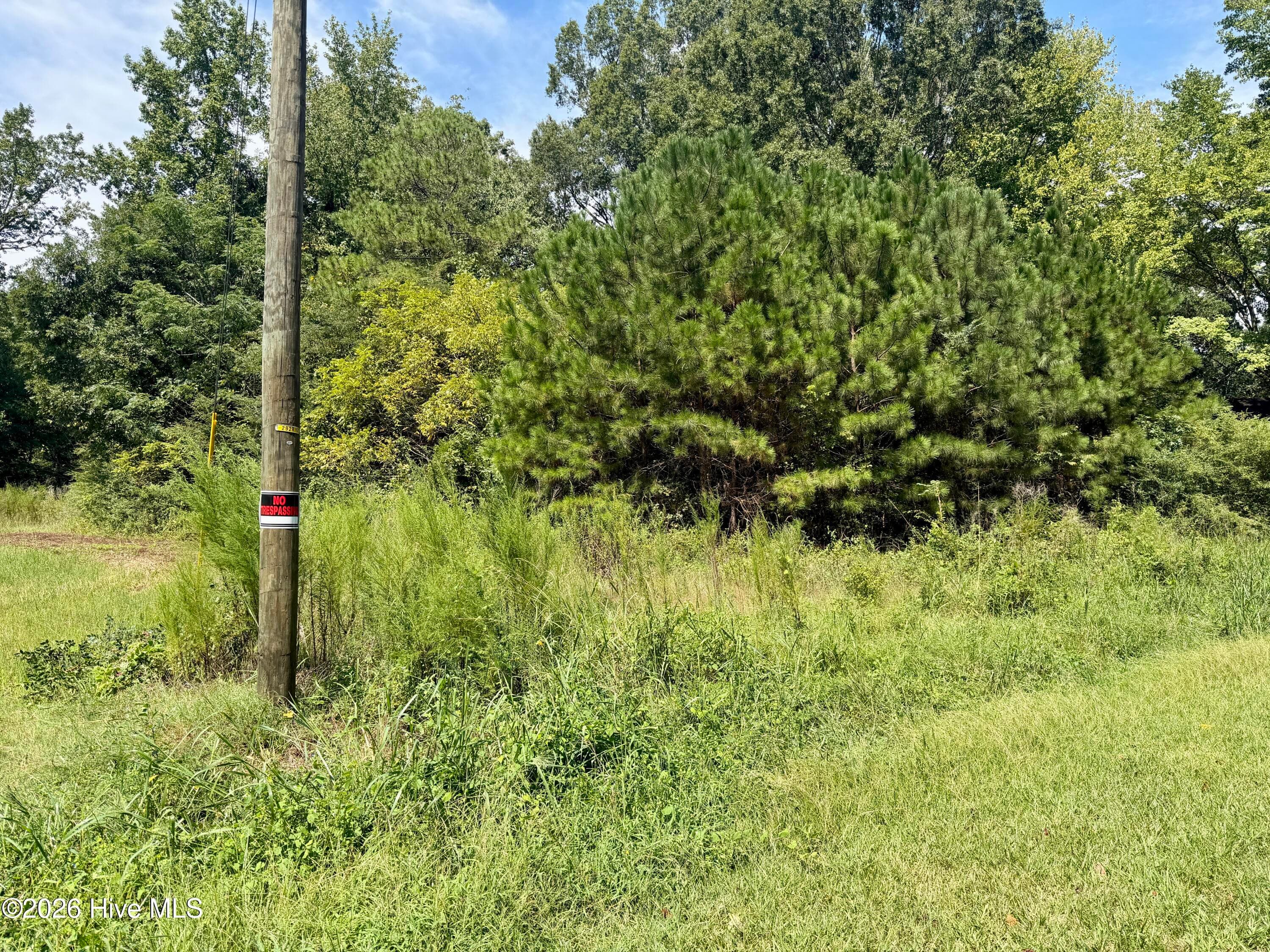 Undeveloped at 000 Mt Zion Church Road, Nashville, NC 27856, photo 2 of 6