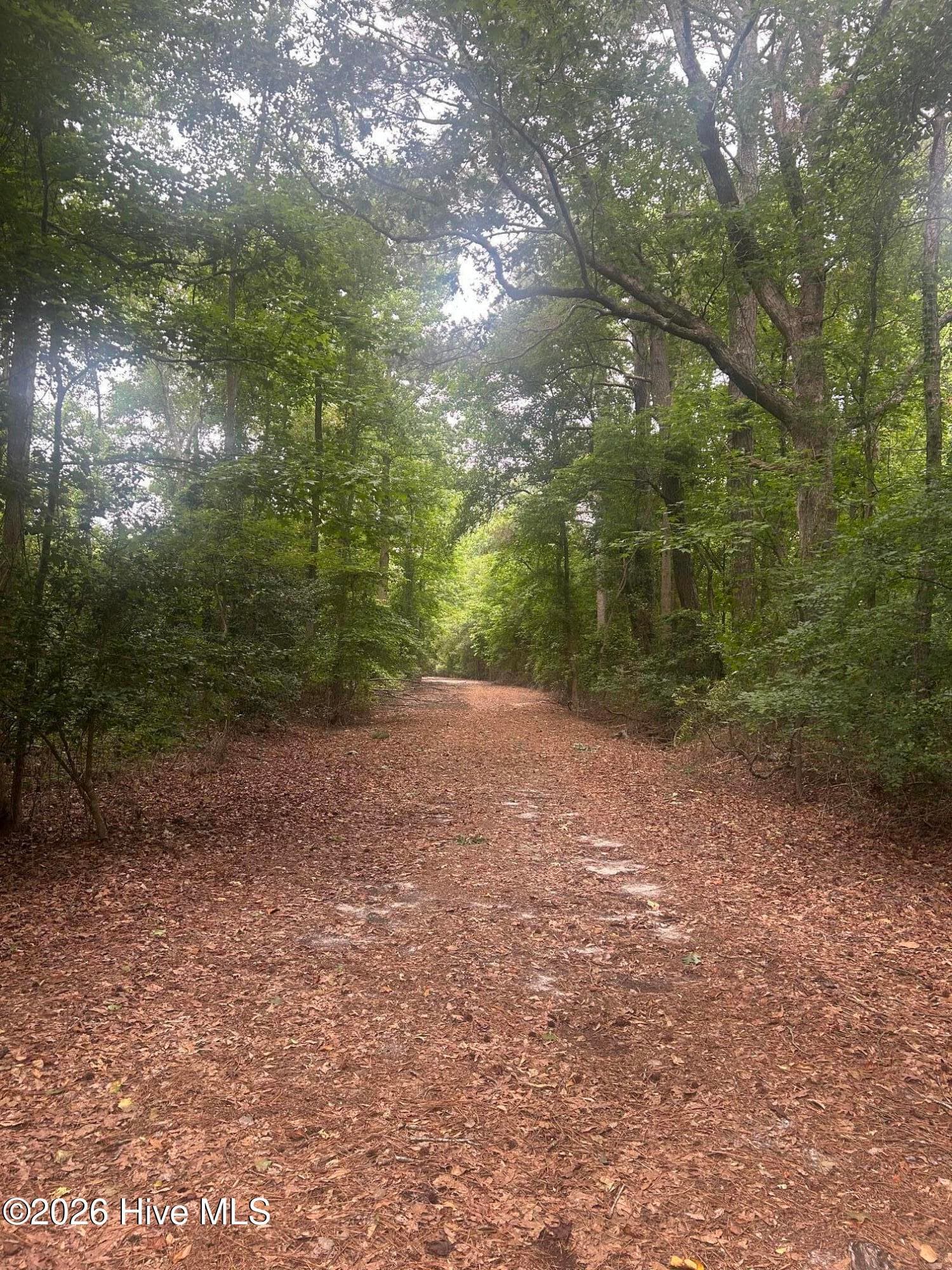 Wooded at Tbd Oliver Carlton Road, Warsaw, NC 28398, photo 8 of 17
