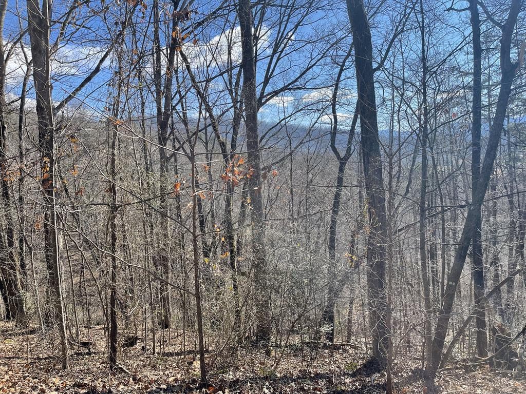 Residential Lot at Lot 47j 47J Grandview Drive, Hayesville, NC 28904, photo 2 of 6
