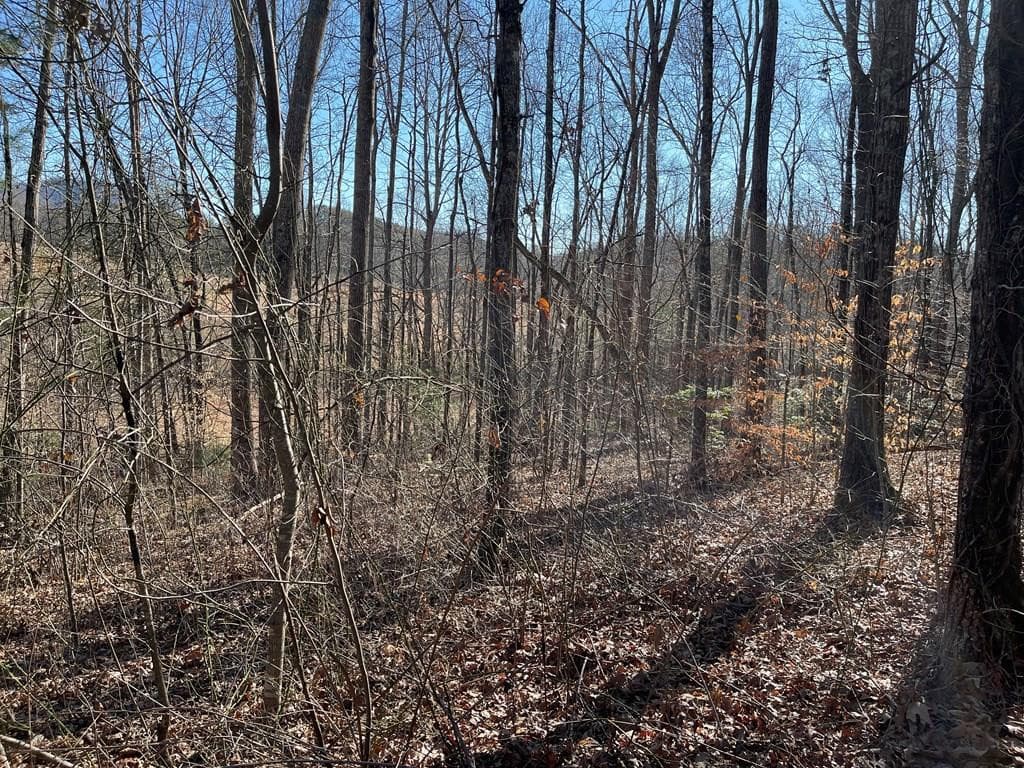 Lot #12e 12E The Woodlands, Hayesville, NC 28904