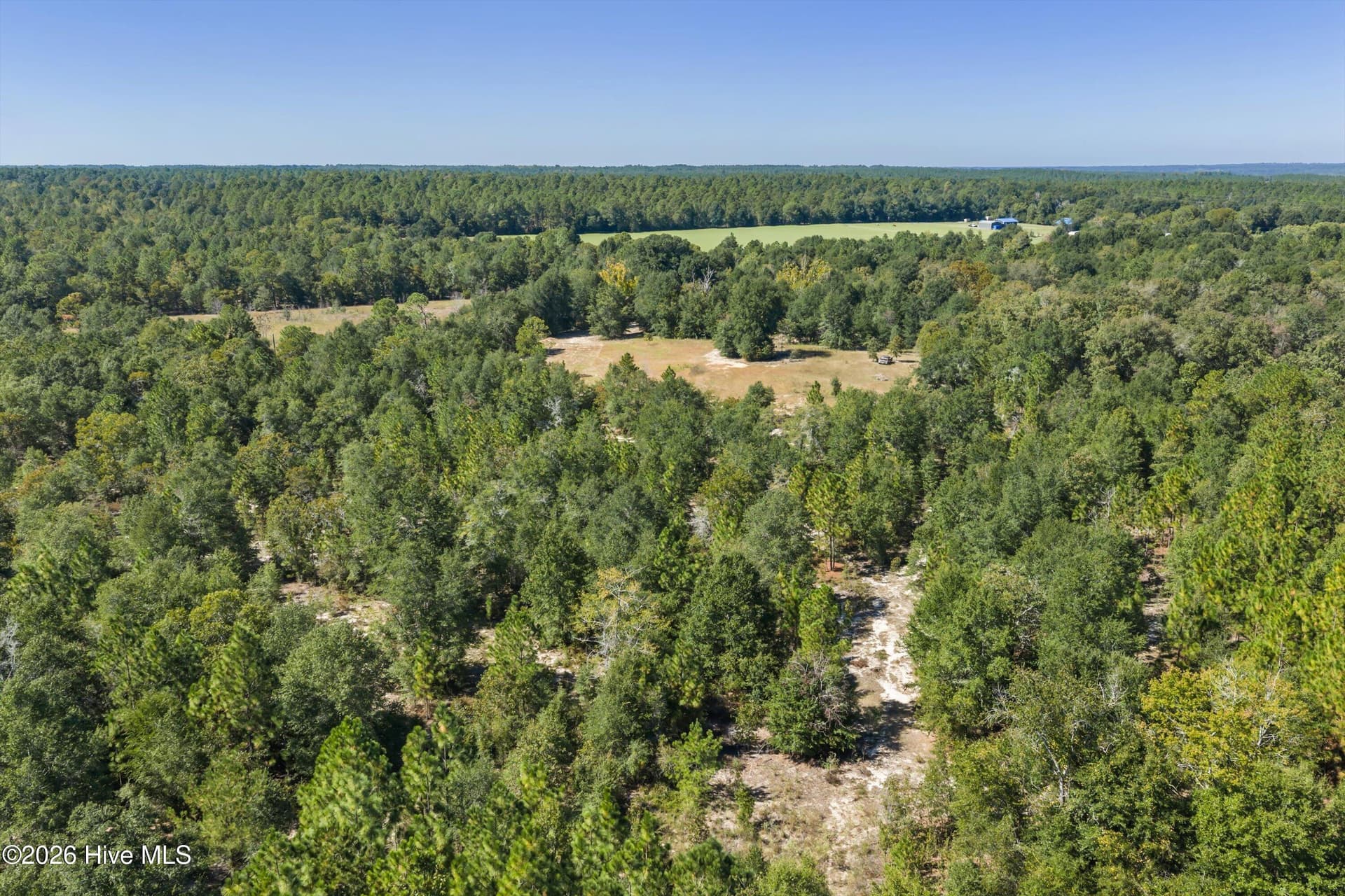 Residential Lot at 000.0 Mary Rawls Road, Wagener, SC 29164, photo 11 of 21