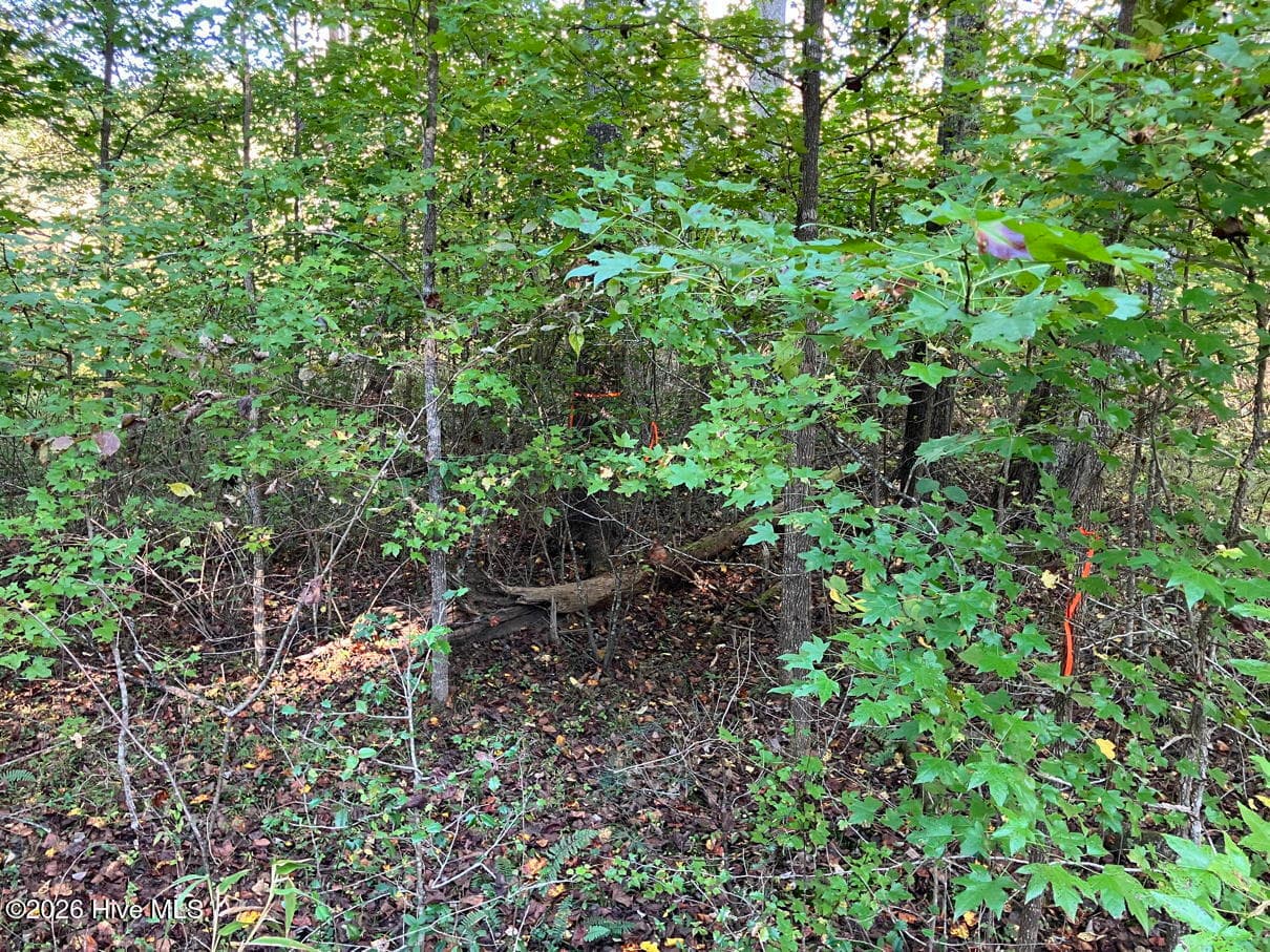 Residential Lot at 6 6 Rushing Water Trail, Hayesville, NC 28904, Hayesville, photo 5 of 14