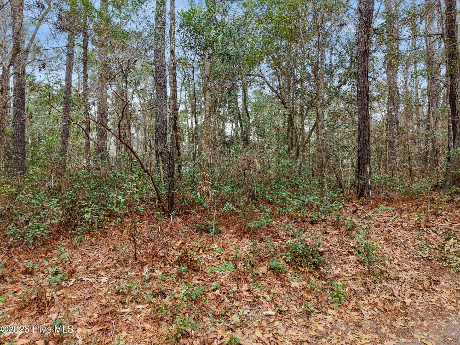 Mobile Home Lot at 1038 Andover Place SE, Bolivia, NC 28422, photo 4 of 17