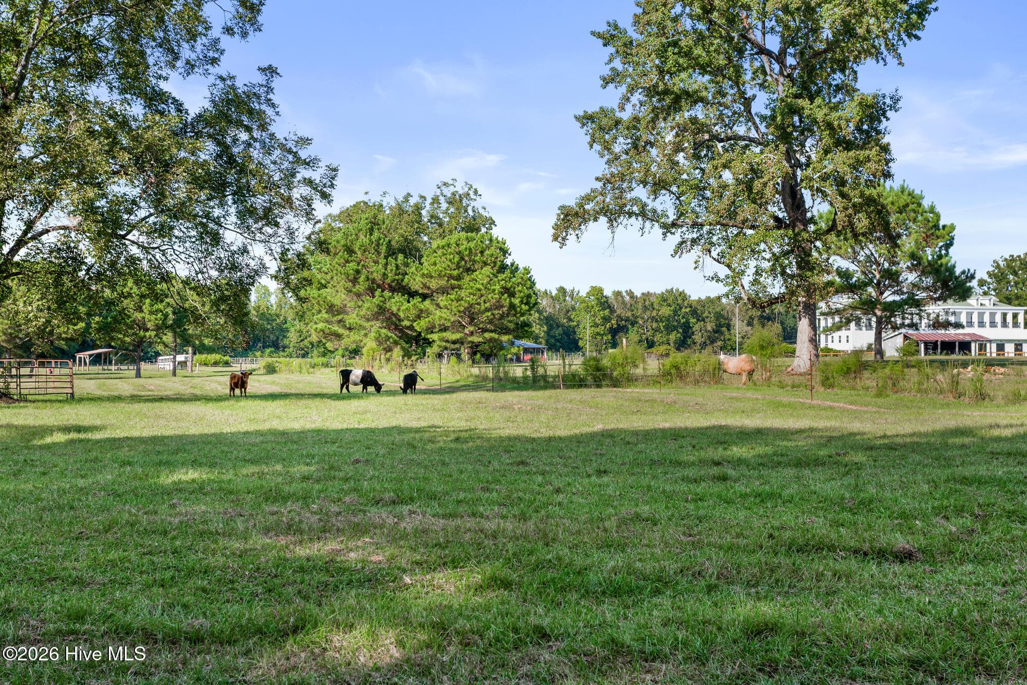 Single Family Residence at 2641 Union Valley Road, Whiteville, NC 28472, photo 59 of 60