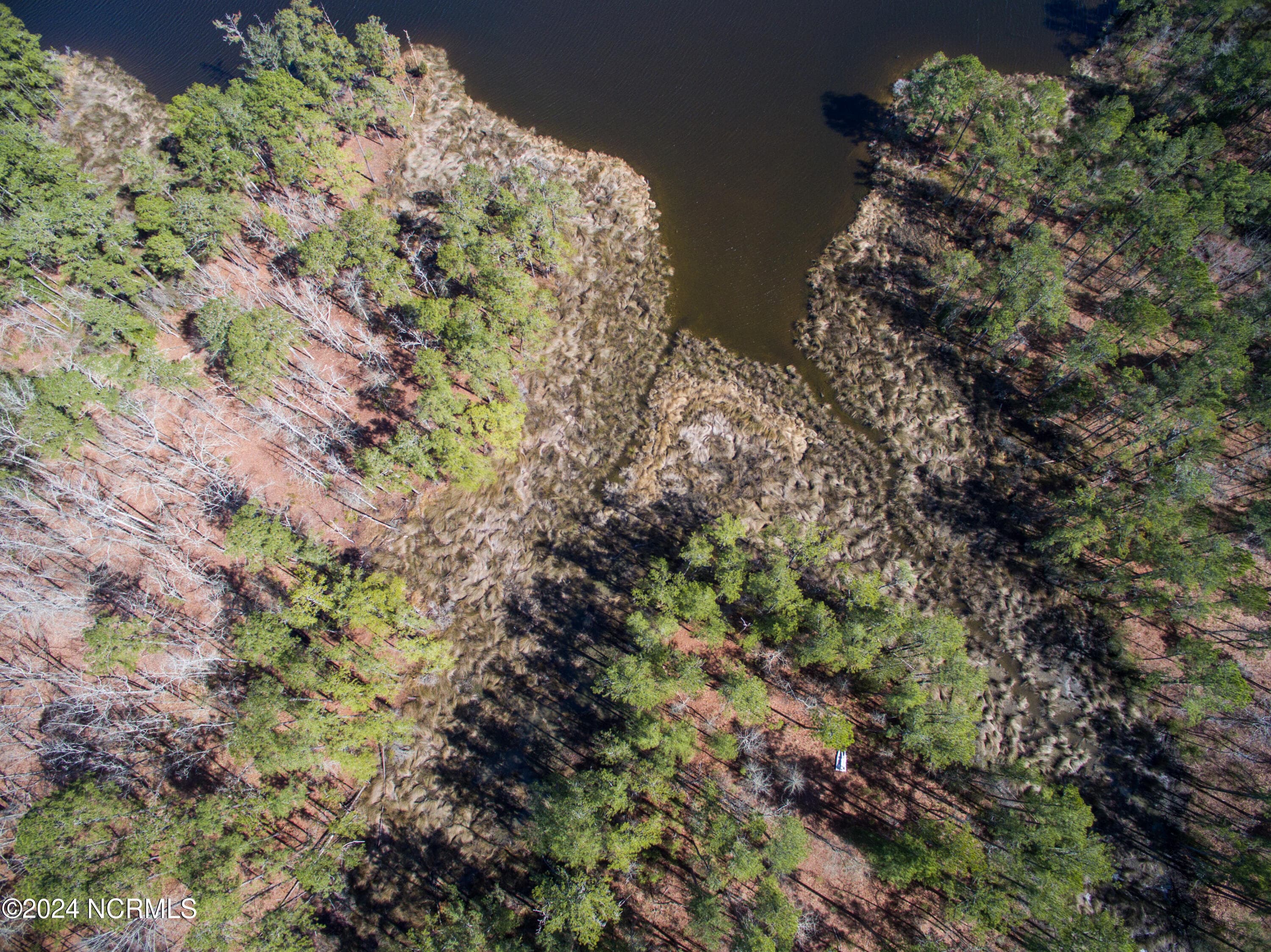 Residential Land at 15 Alexander Drive, Belhaven, NC 27810, photo 6 of 15