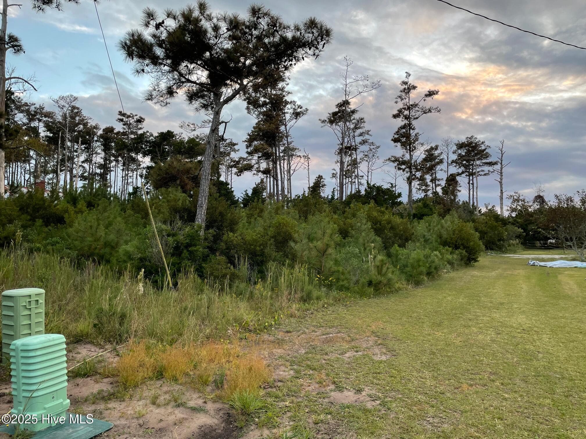 Undeveloped at 3019 Cedar Island Rd, Cedar Island, NC 28520, photo 2 of 3