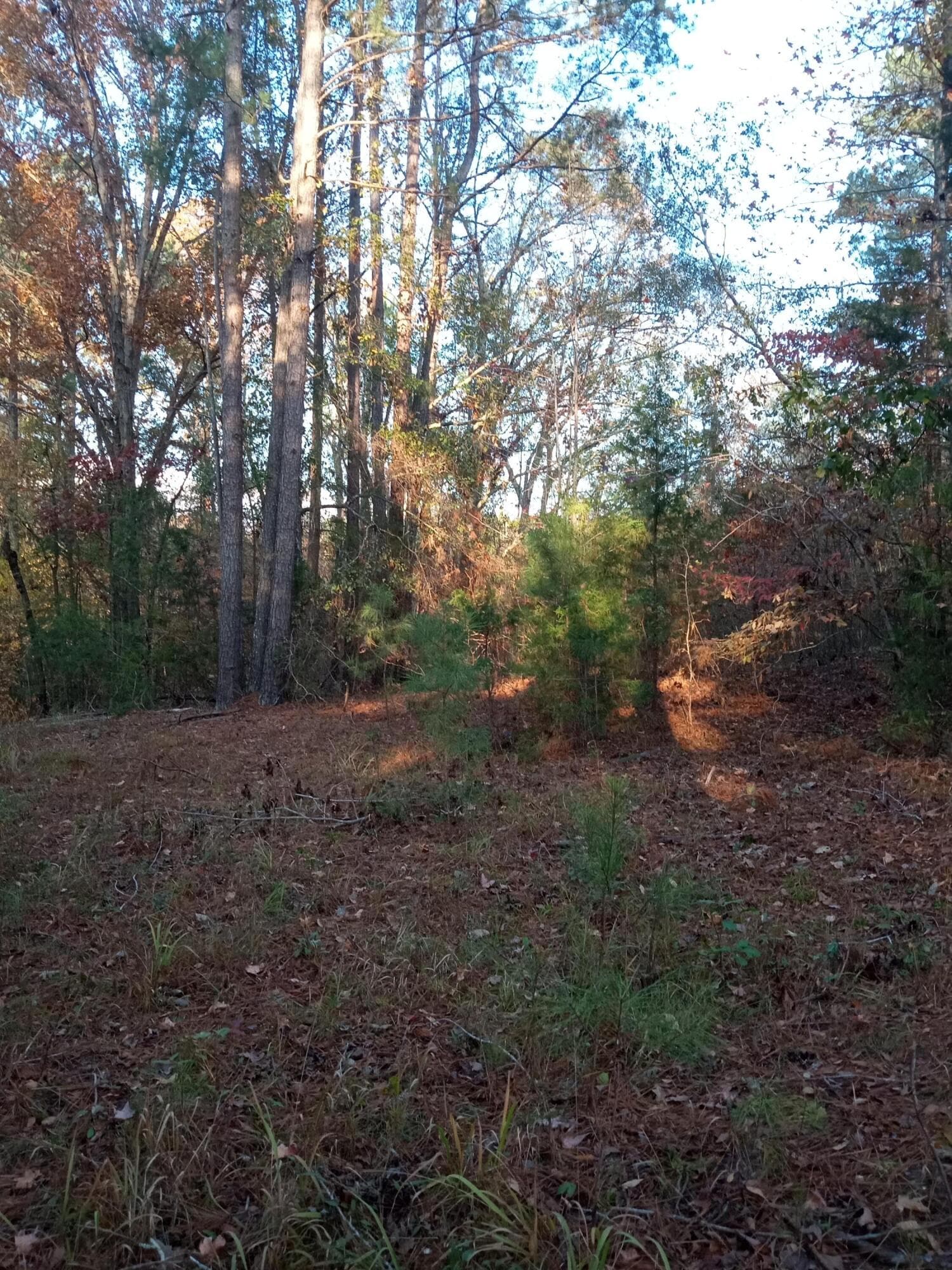 Residential Lot at 2722 Sc-23, Modoc, SC 29838, photo 47 of 62