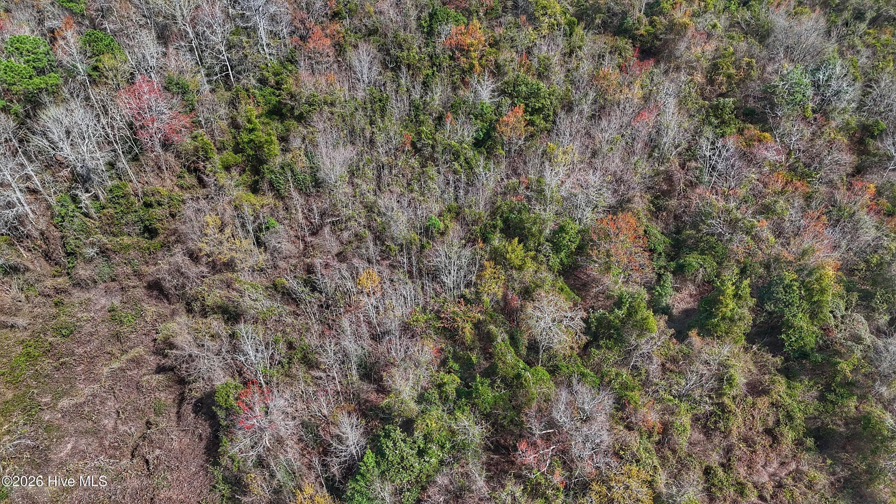 Wooded at 1612 Rocky Hock Landing Road, Edenton, NC 27932, photo 44 of 45