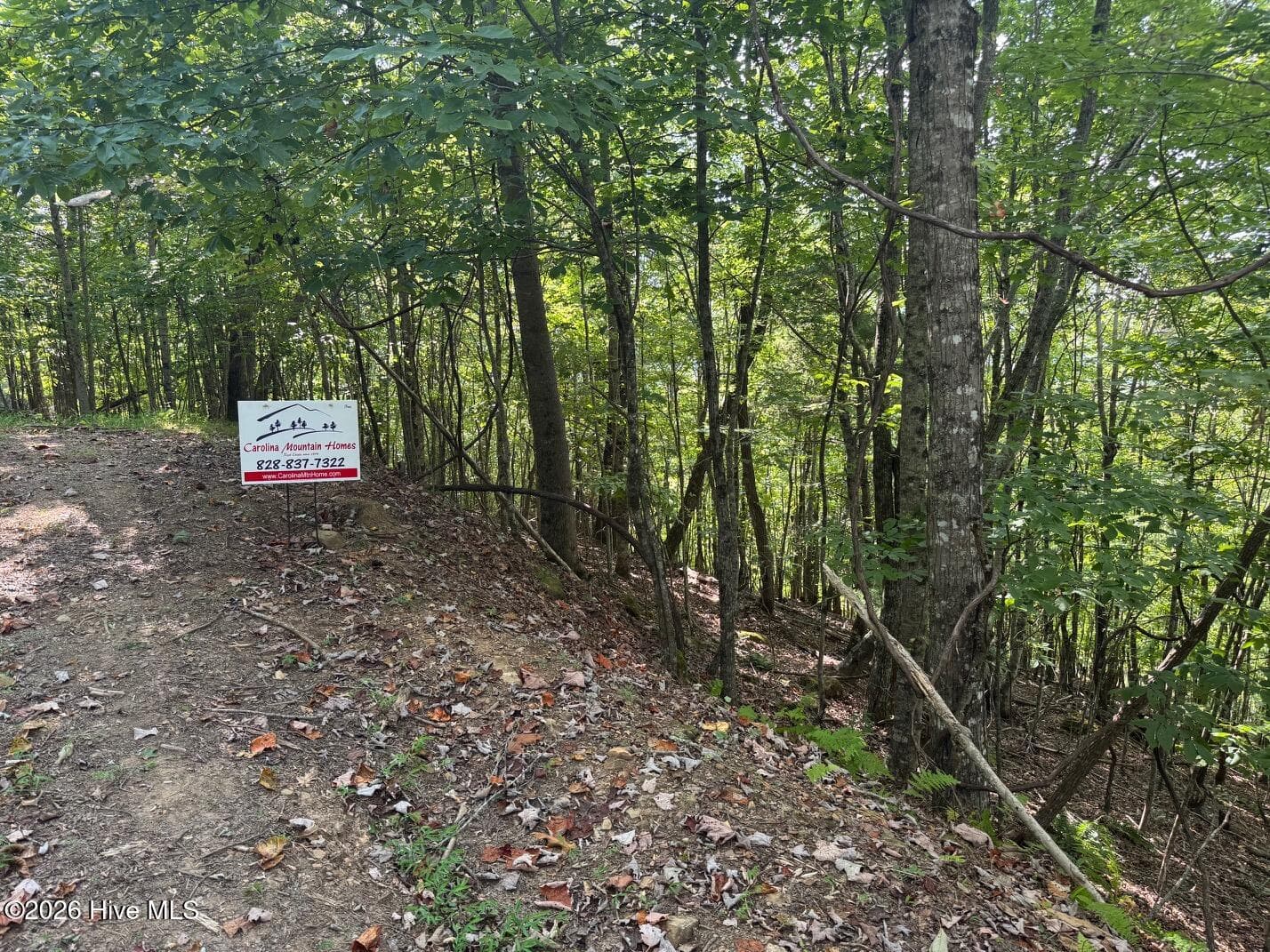Wooded at 18 Mason Way, Murphy, NC 28906, photo 4 of 7