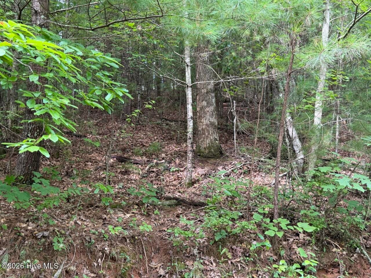 Residential Lot at Lot 9 27 Confederate Circle, Murphy, NC 28906, photo 6 of 7