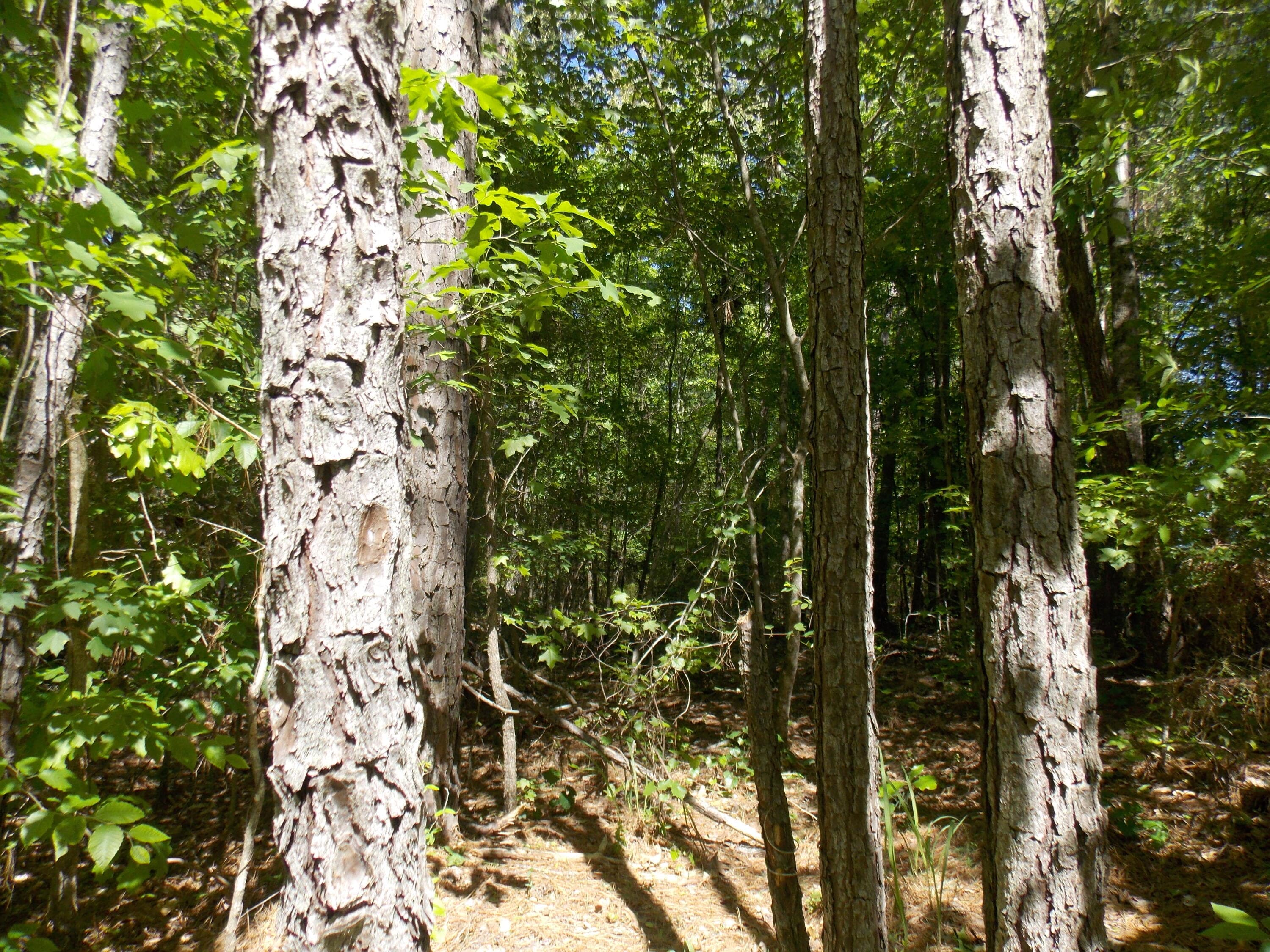 12 12 Doe Run, Lincolnton, GA 30817