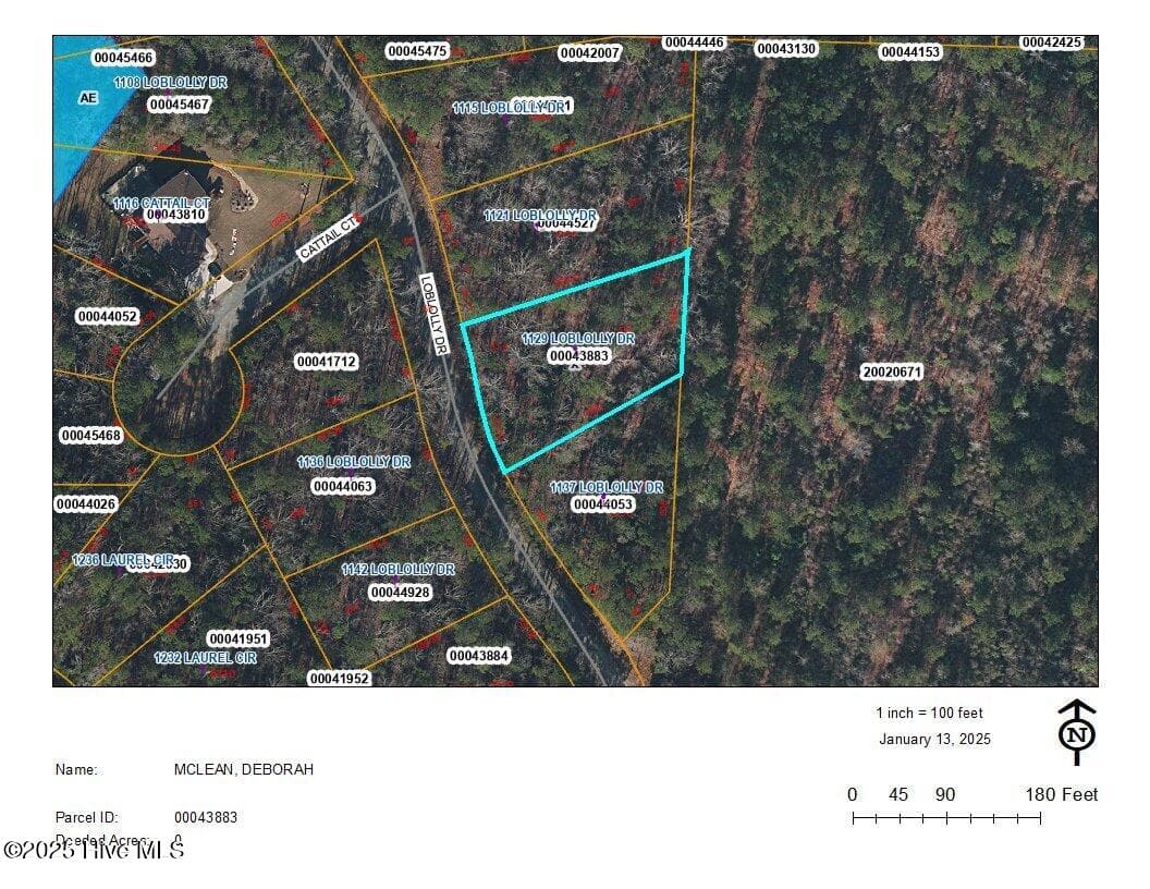 Residential Lot at 1129 Loblolly Drive, Vass, NC 28394, photo 3 of 3