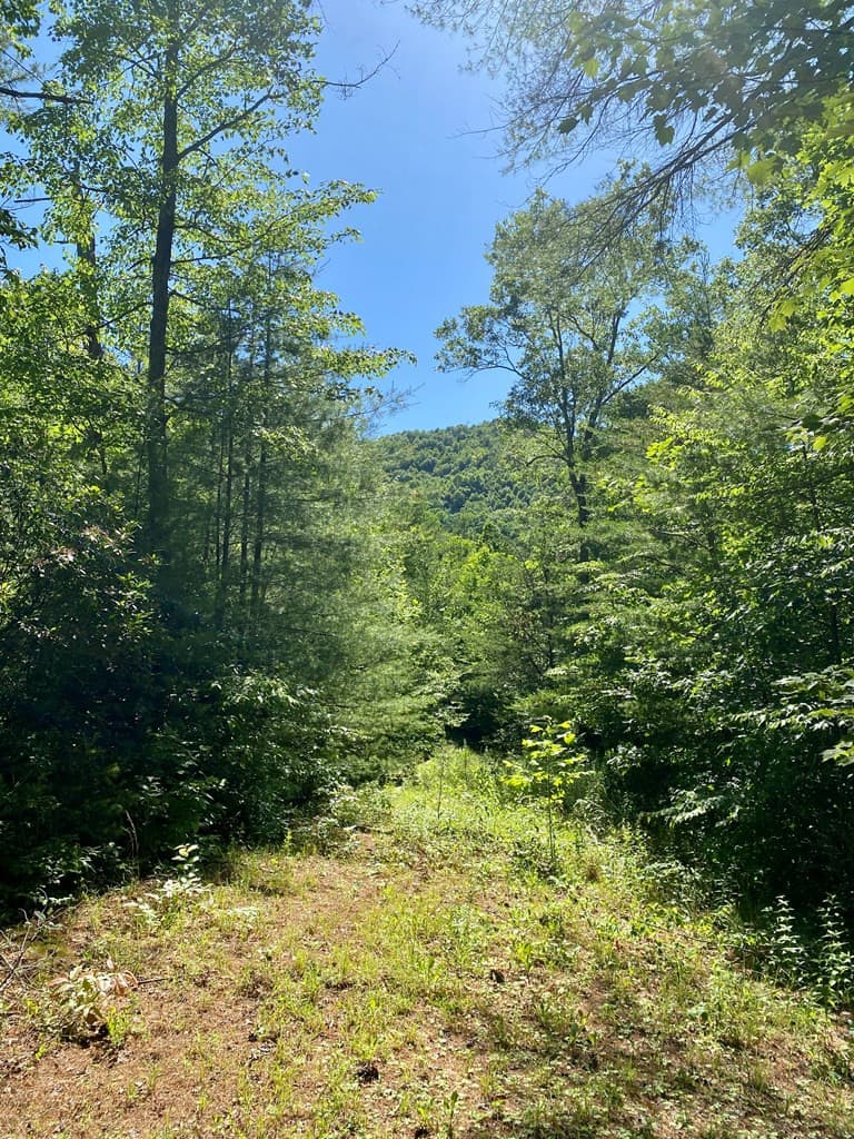 Land at 00 Deer Run, Robbinsville, NC 28771, photo 5 of 8