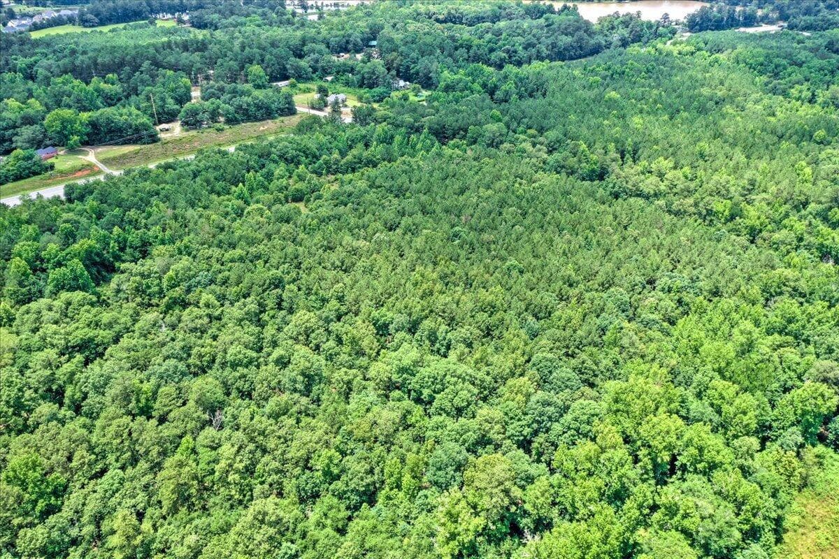 Mixed Use at 4012 Peach Orchard Road, Hephzibah, GA 30815, photo 19 of 23