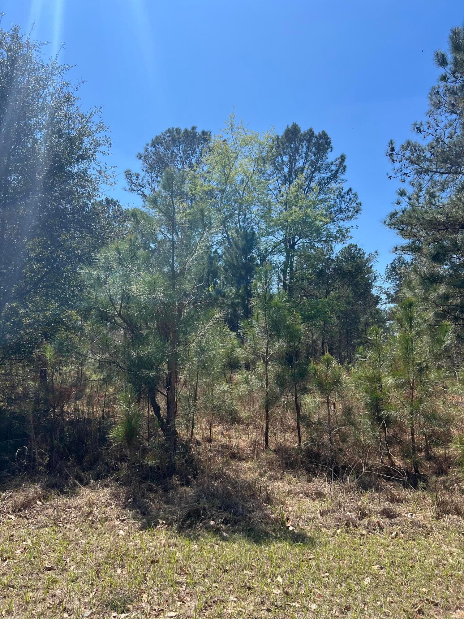 708 Kingstown Road, Sardis, GA 30456