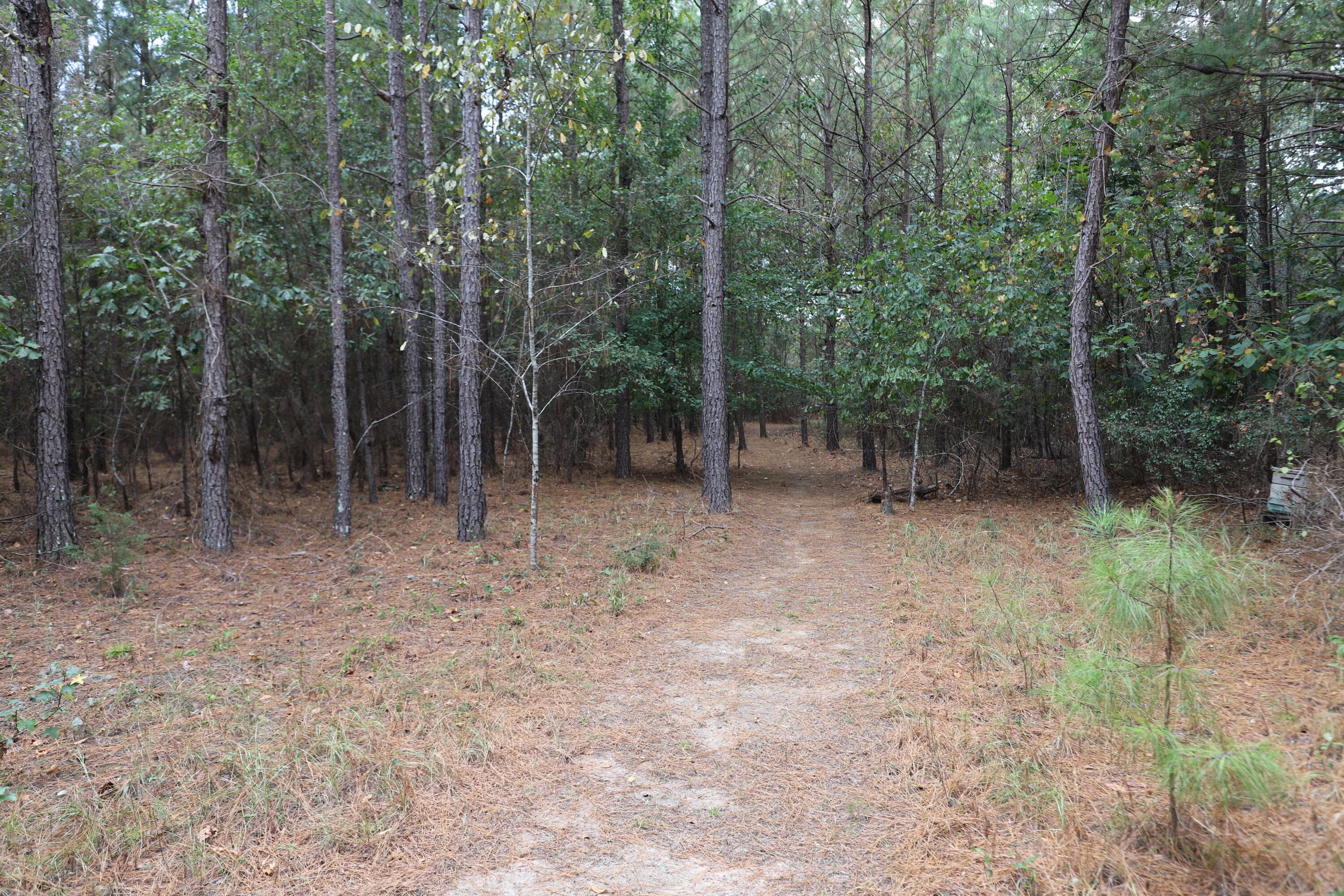 Single Family Residence at 5631 Old Augusta Highway, Grovetown, GA 30813, photo 34 of 34
