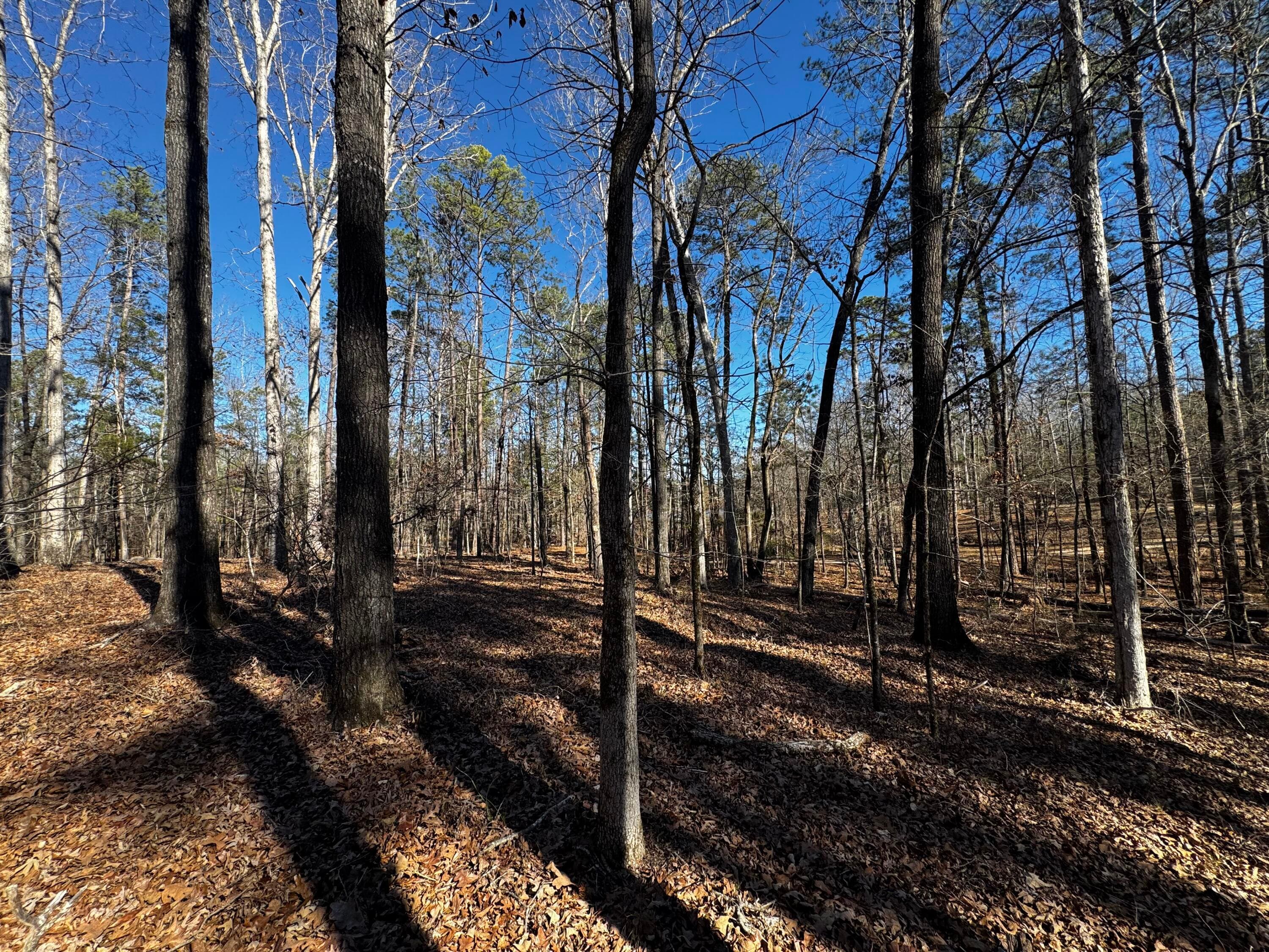 Mixed Use at 0 Forest Lake Drive, Lincolnton, GA 30817, photo 9 of 12