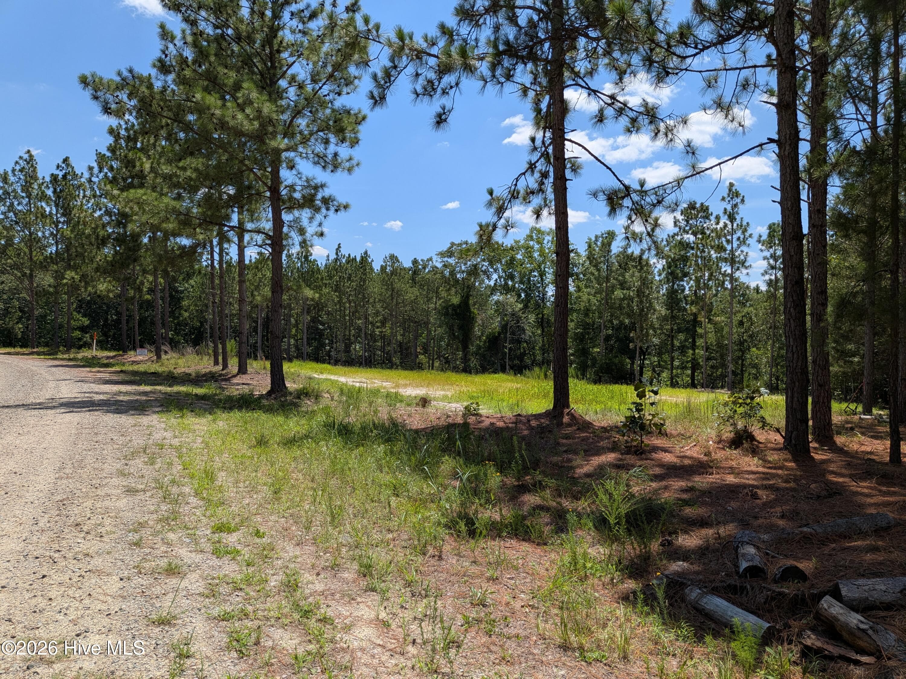 Residential Lot at 270 1-R Charles Road, Eagle Springs, NC 27242, photo 4 of 13