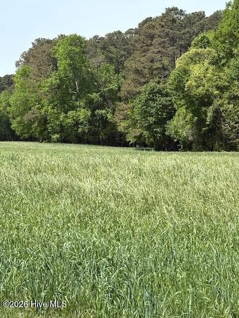 Agriculture at 000 Leon Road, Nashville, NC 27856, photo 5 of 6