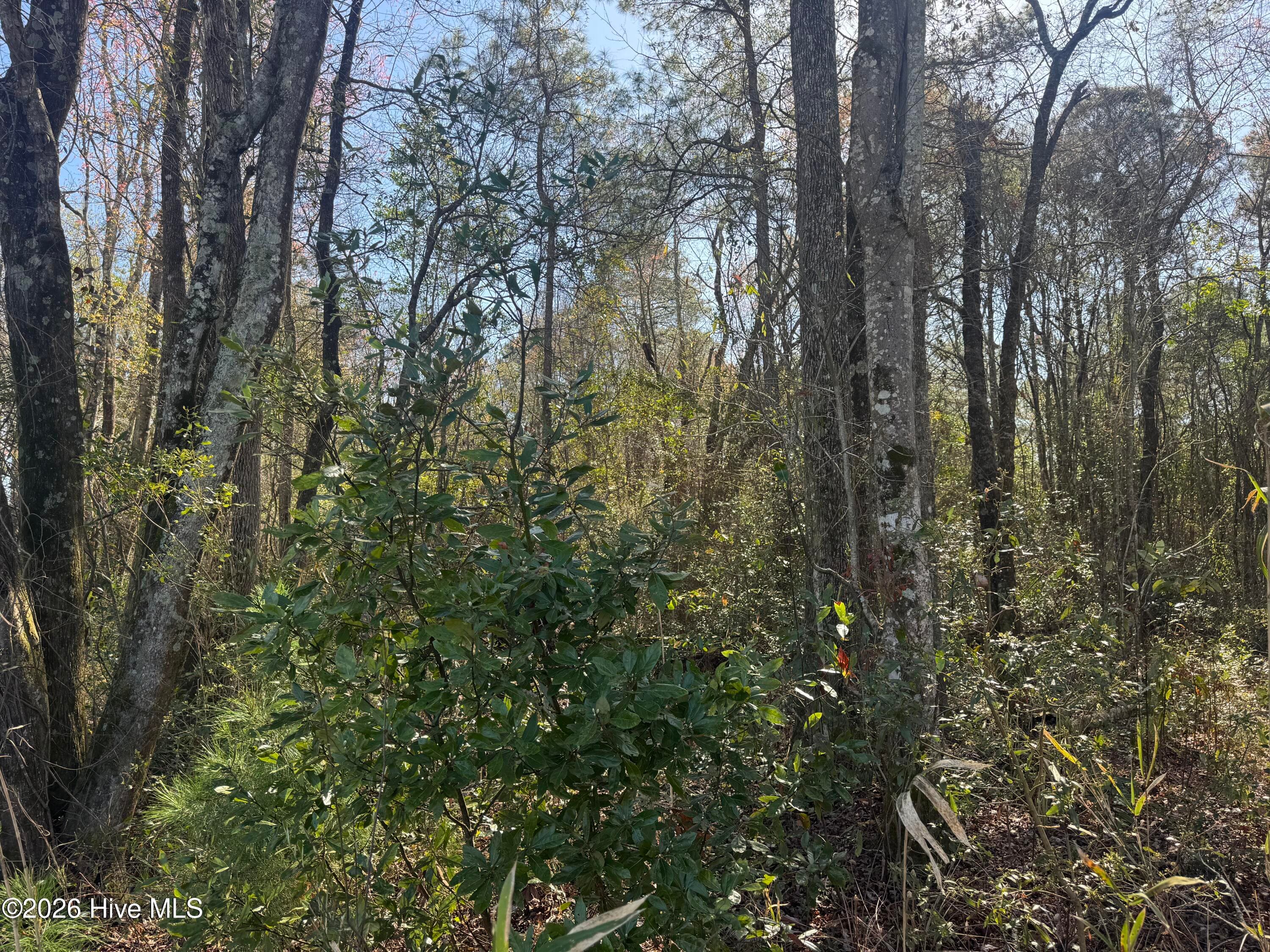 Mixed Use at 0 4 and 5 NW Little Prong Rd NW, Ash, NC 28420, photo 6 of 6