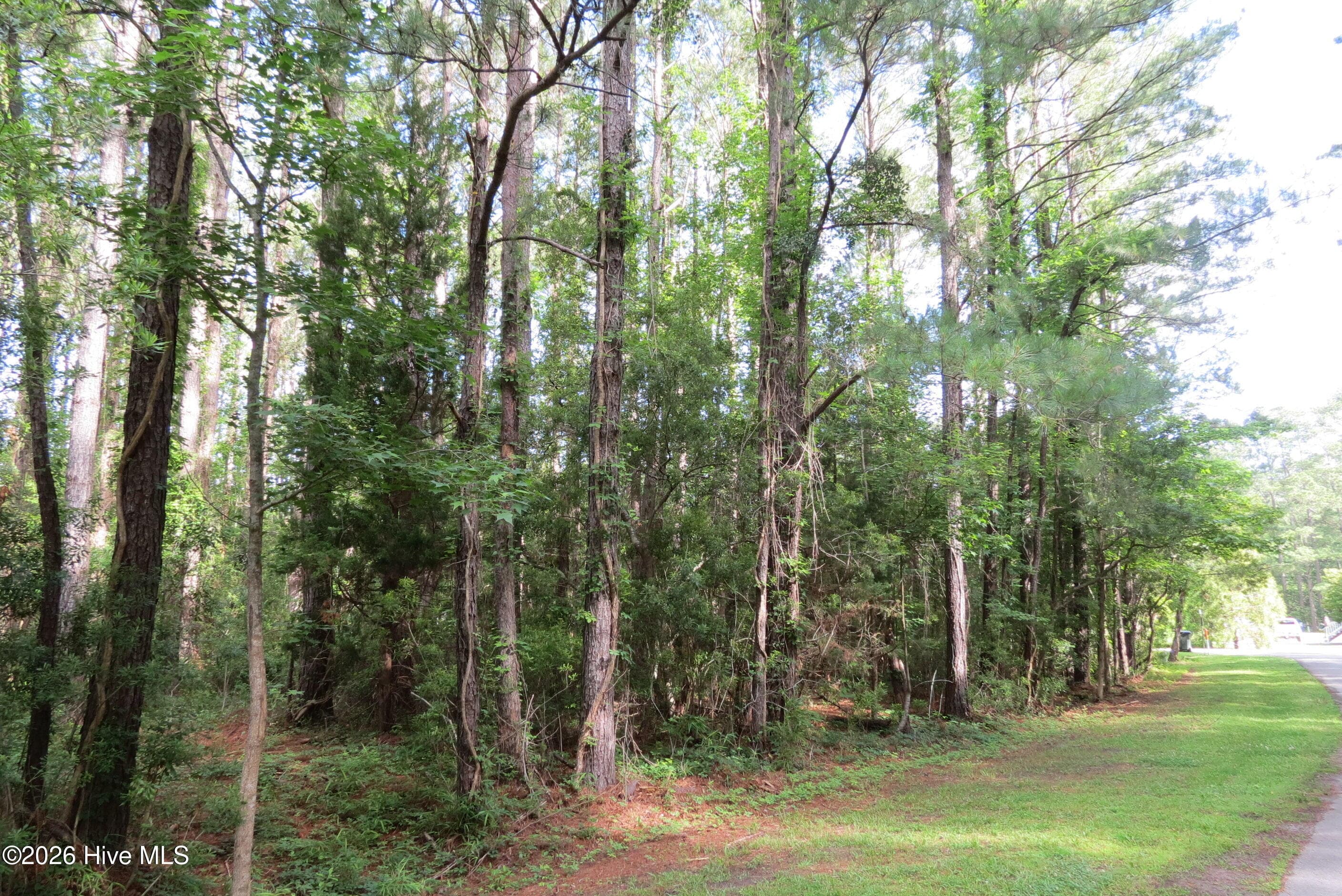 Residential Lot at 20 19 Teal Road, Merritt, NC 28556, photo 15 of 22