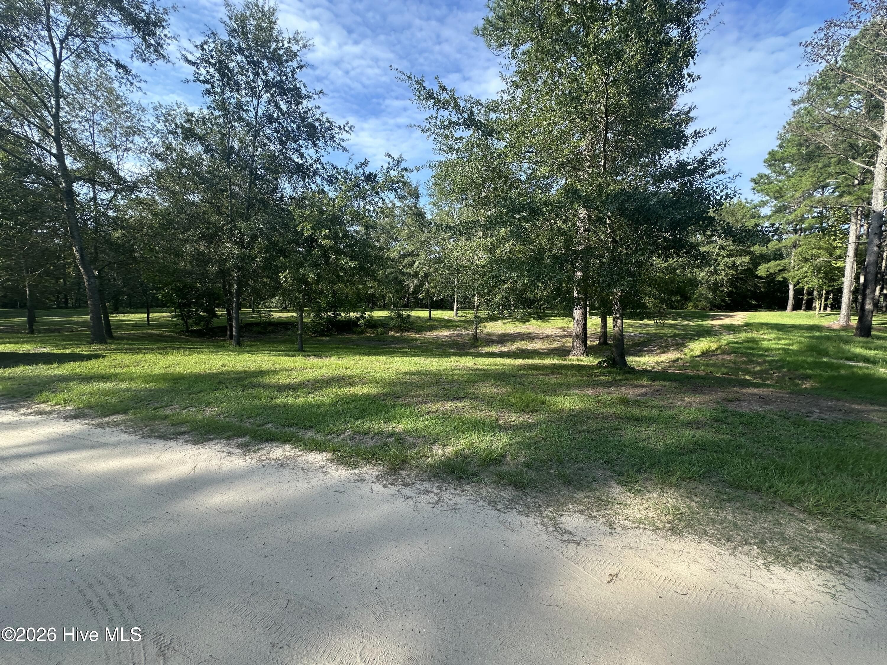Residential Lot at 43 Black River Lane, Harrells, NC 28444, photo 5 of 15