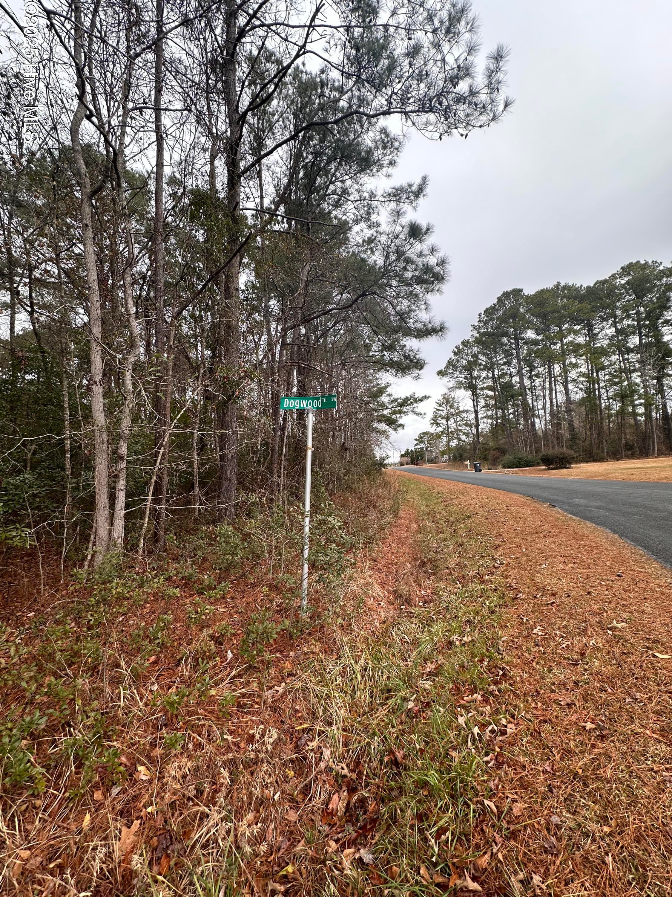 151 Dogwood Trail SW, Supply, NC 28462
