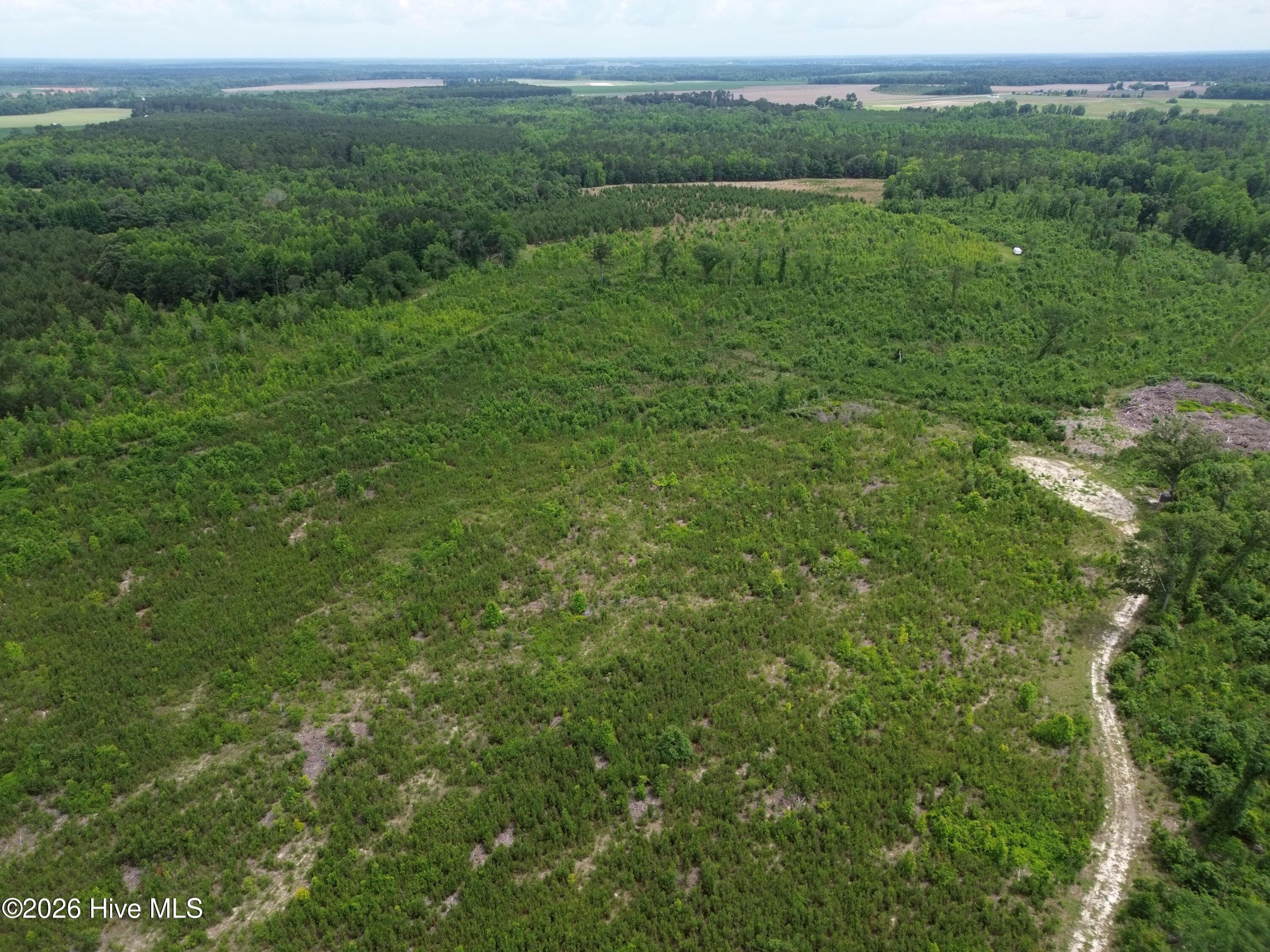 Undeveloped at 0 Pughsley Road, Stapleton, GA 30823, photo 2 of 13