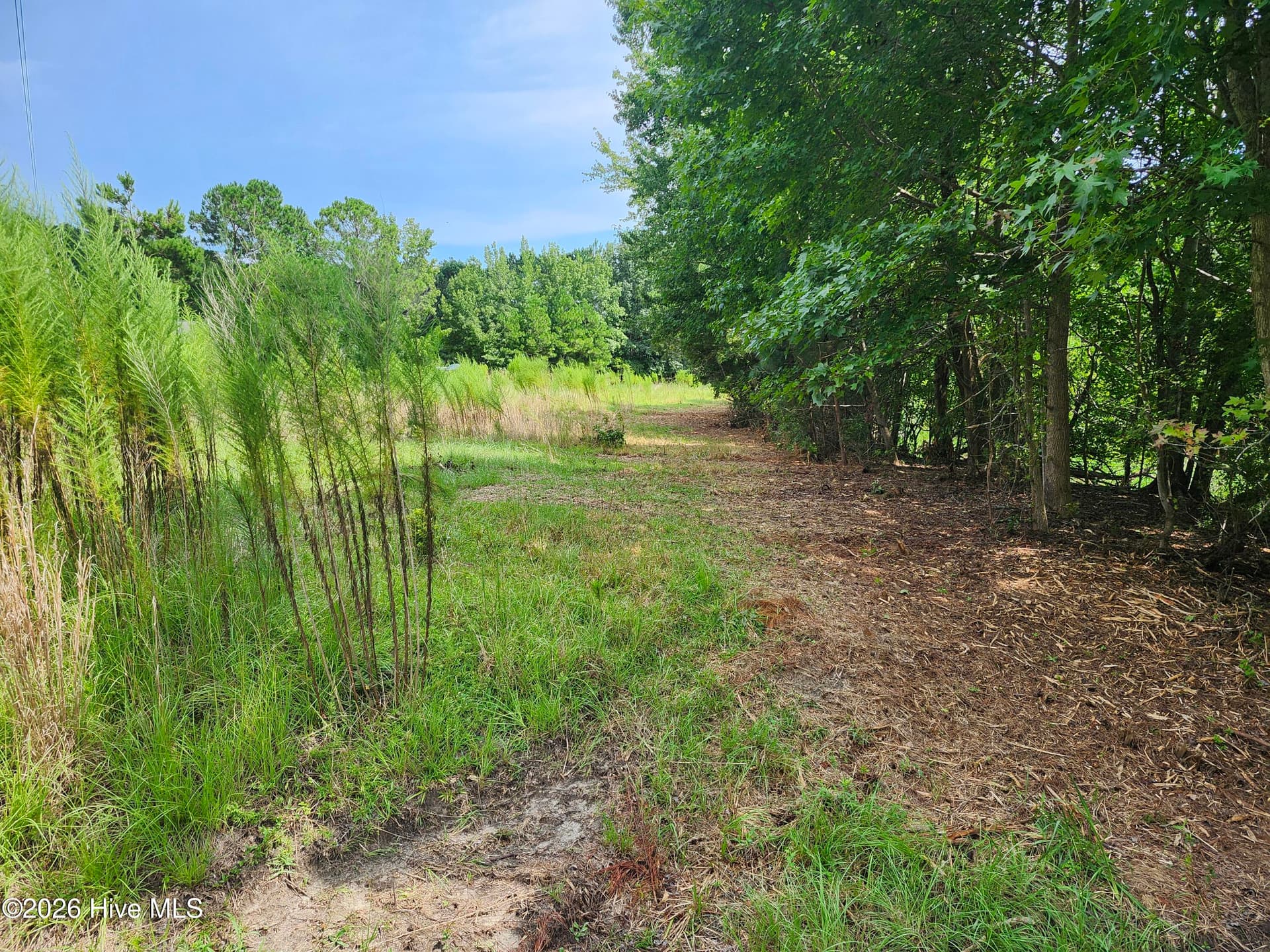 Wooded at 306 16 Revised Howards Landing Road, Hampstead, NC 28443, photo 4 of 17